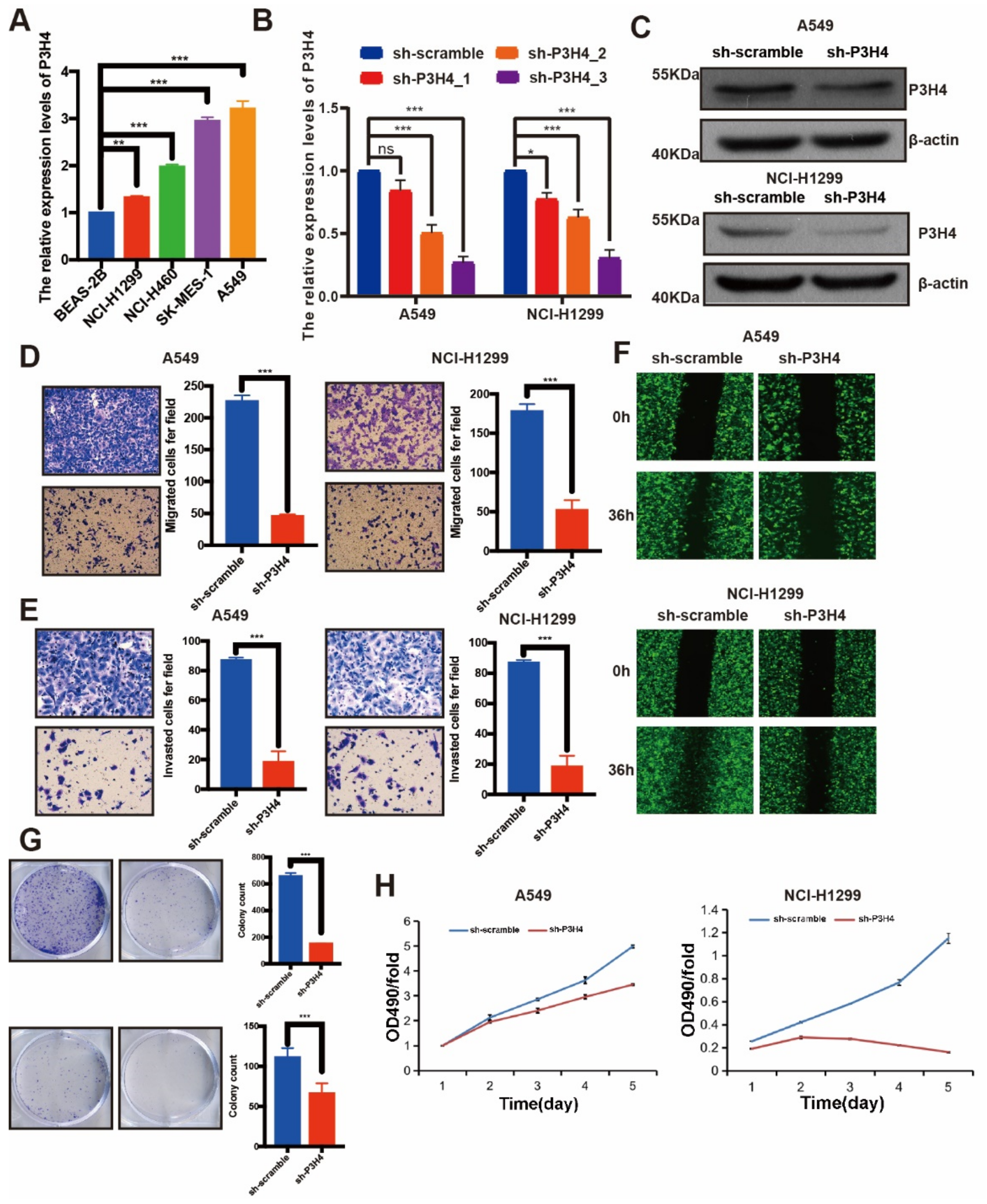 Cancers 14 03243 g002