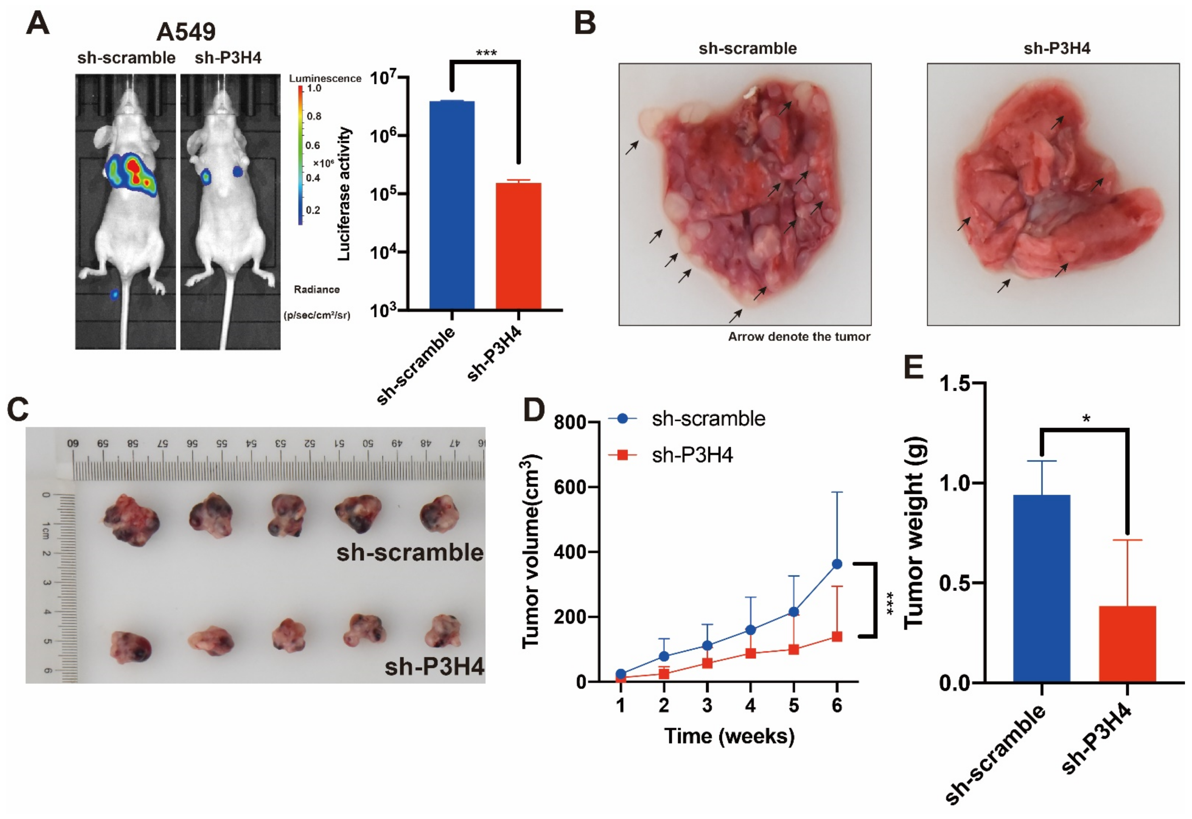 Cancers 14 03243 g003