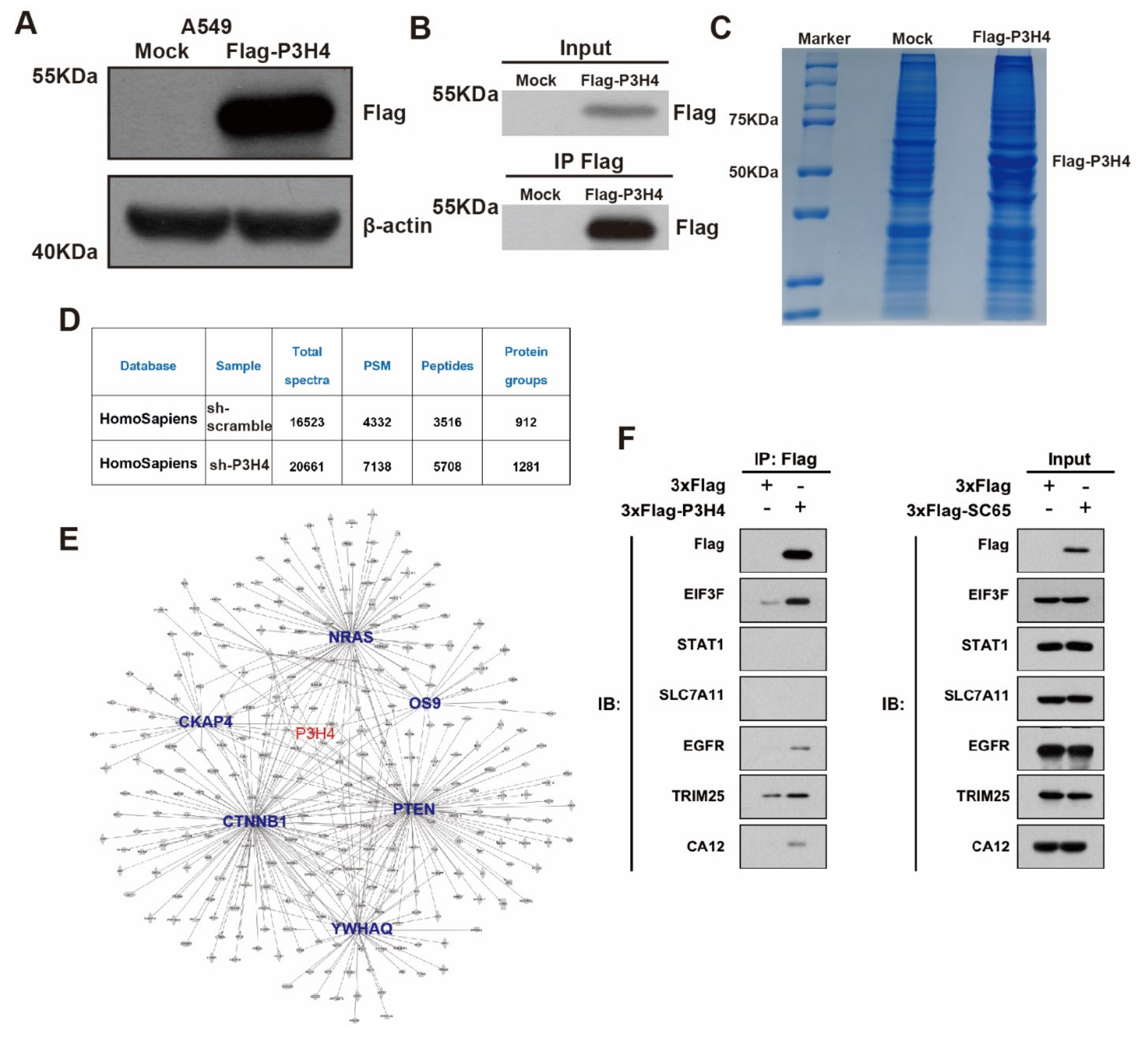 Cancers 14 03243 g004
