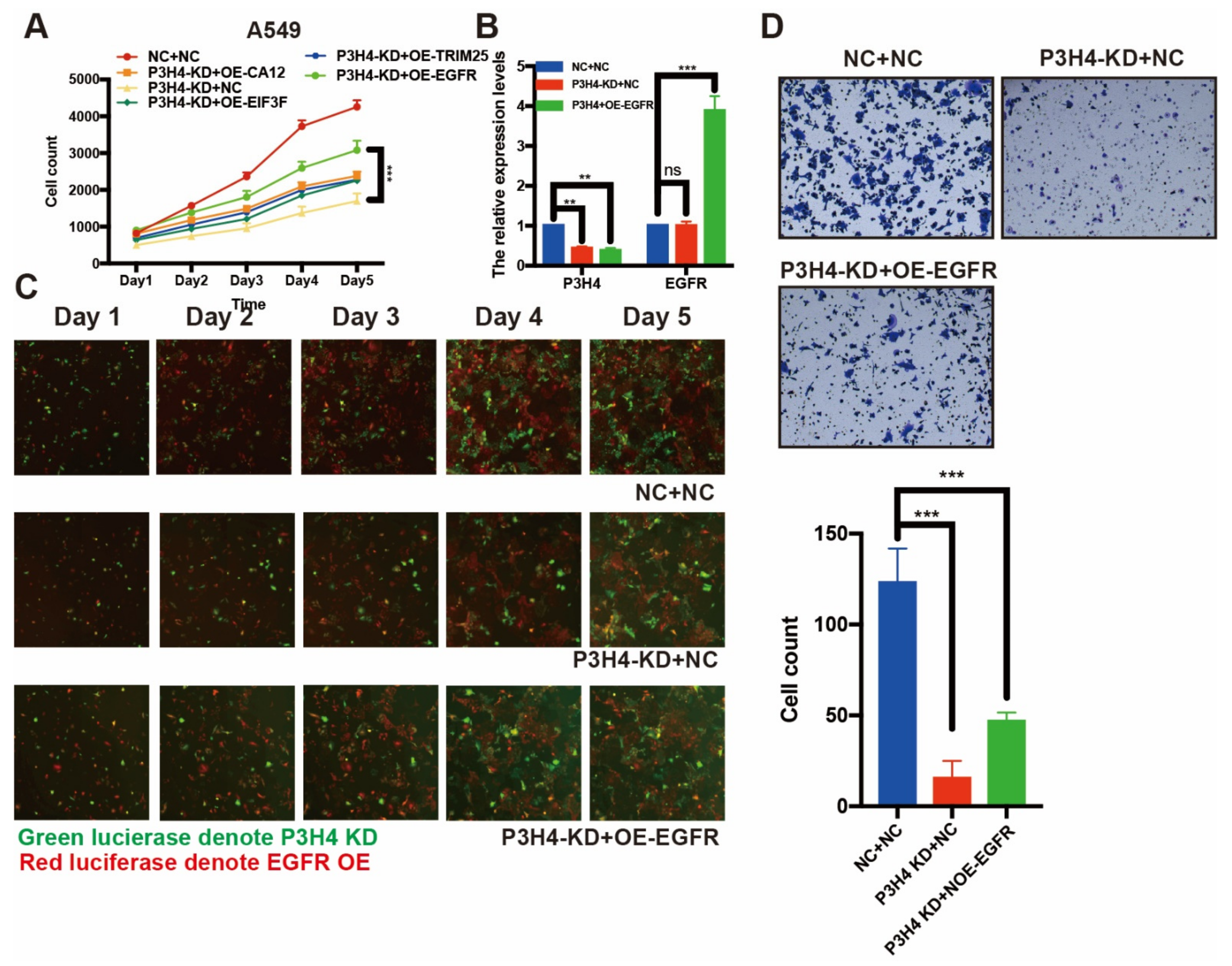 Cancers 14 03243 g005