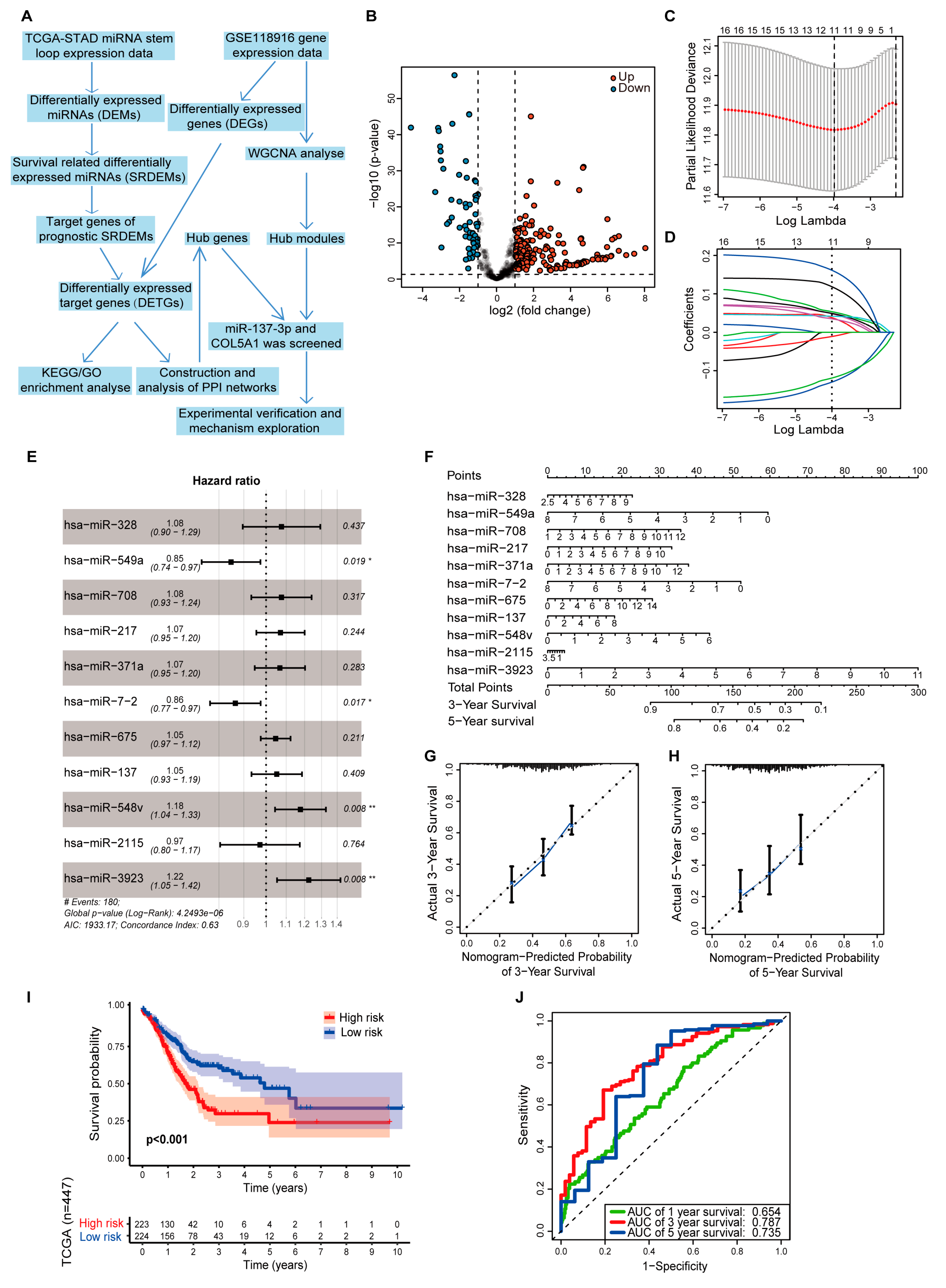 Cancers 14 03244 g001