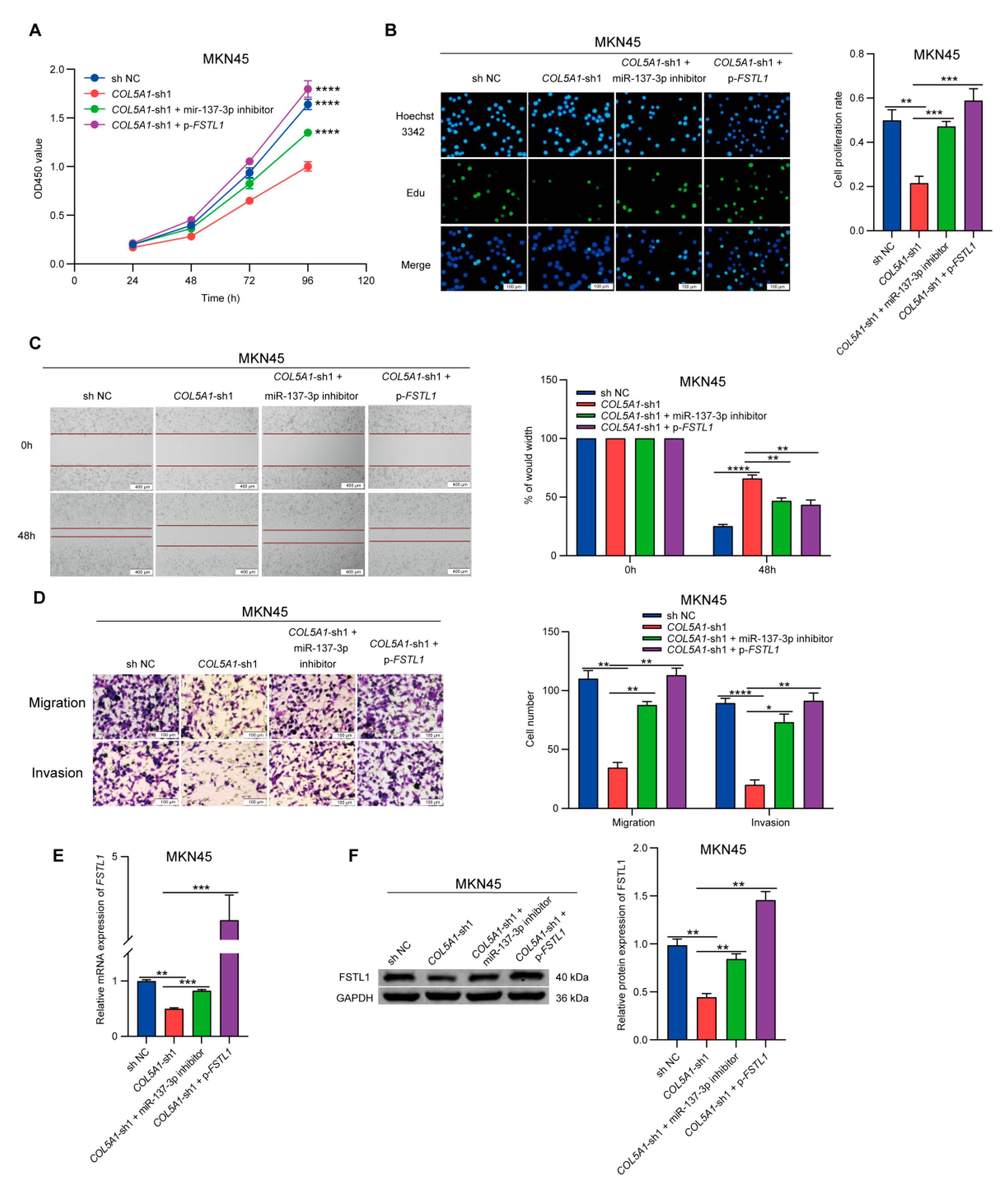 Cancers 14 03244 g005