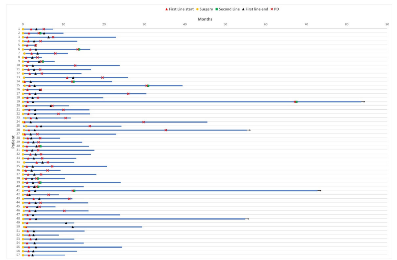 Cancers 14 03249 g001