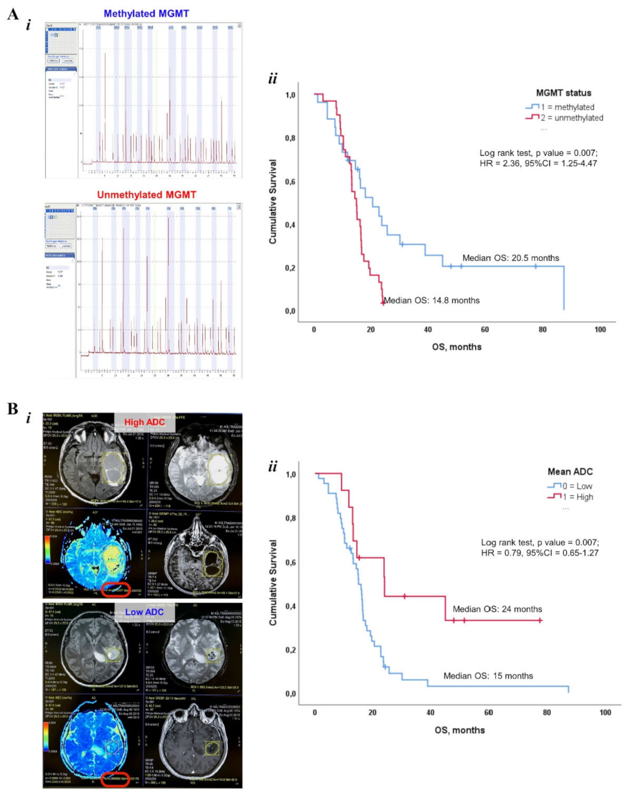 Cancers 14 03249 g004