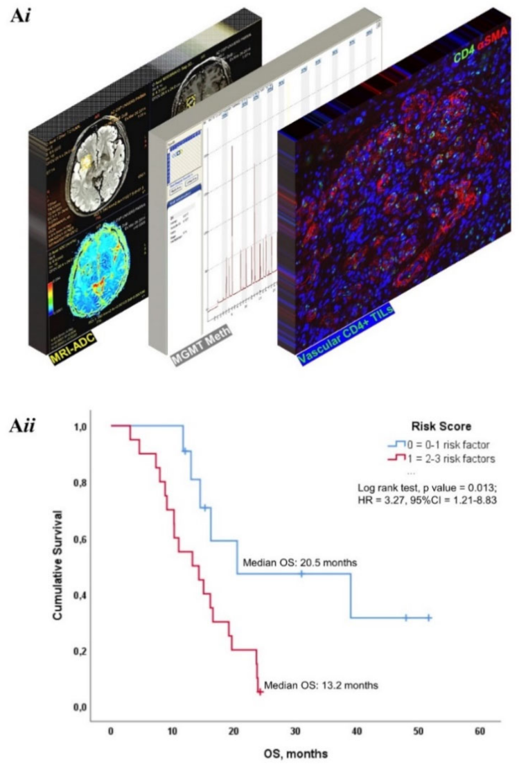 Cancers 14 03249 g006
