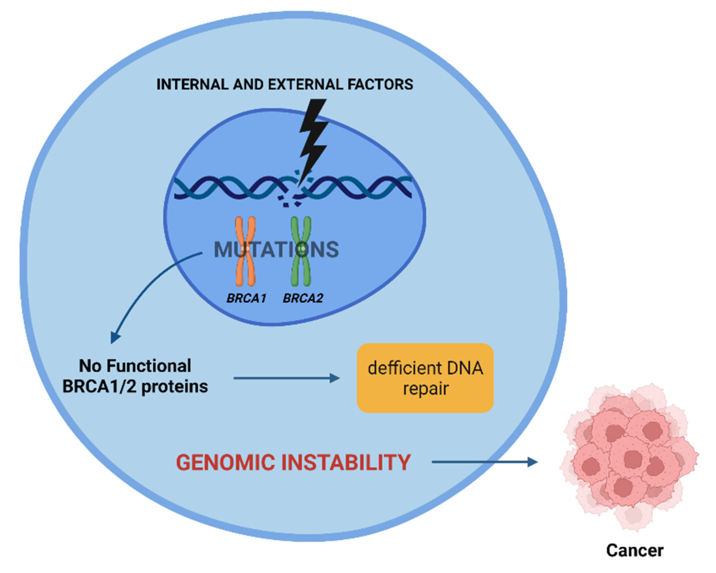 Cancers 14 03254 g003 Cancers 14 03254 g003