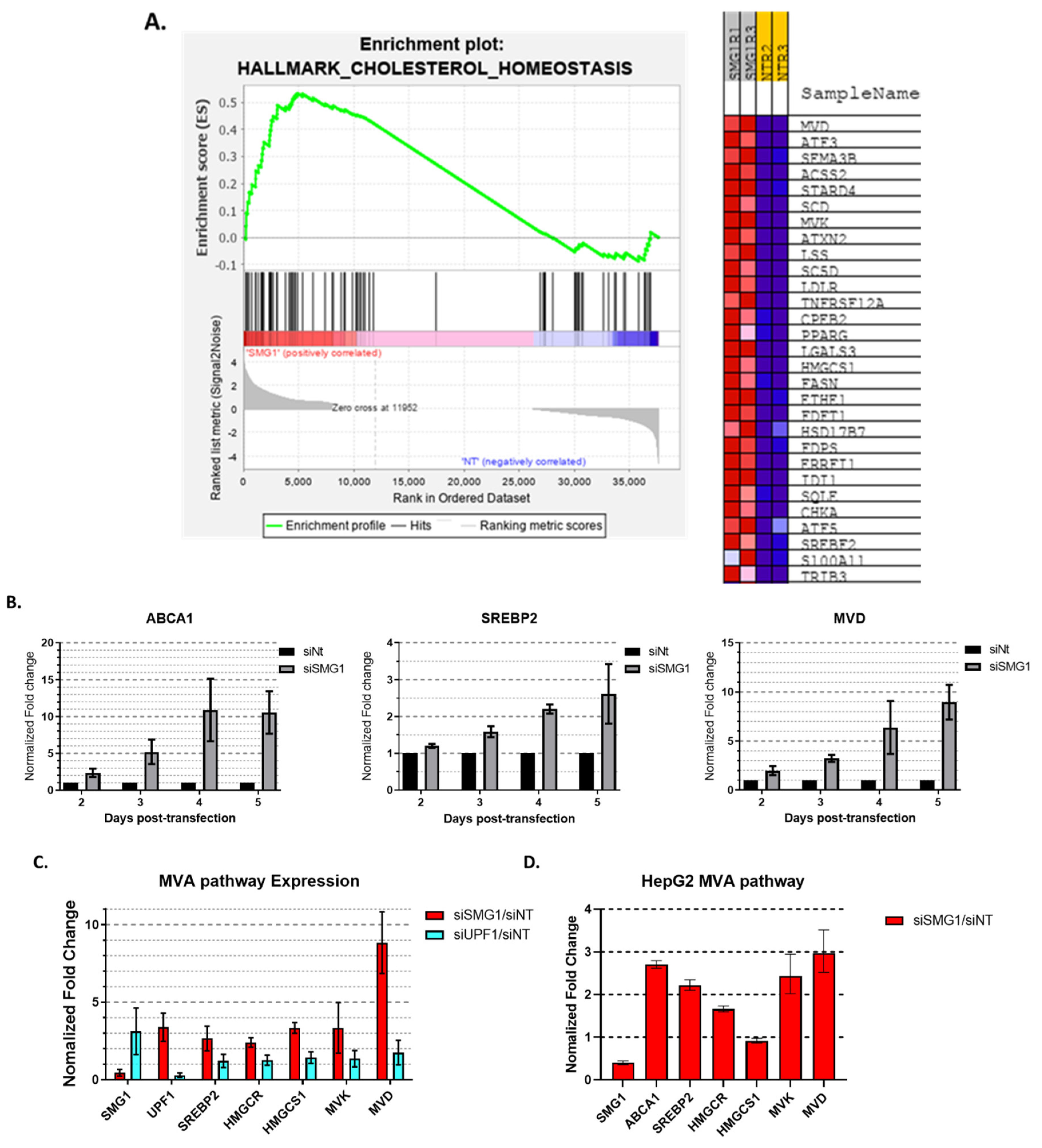 Cancers 14 03255 g001 Cancers 14 03255 g001