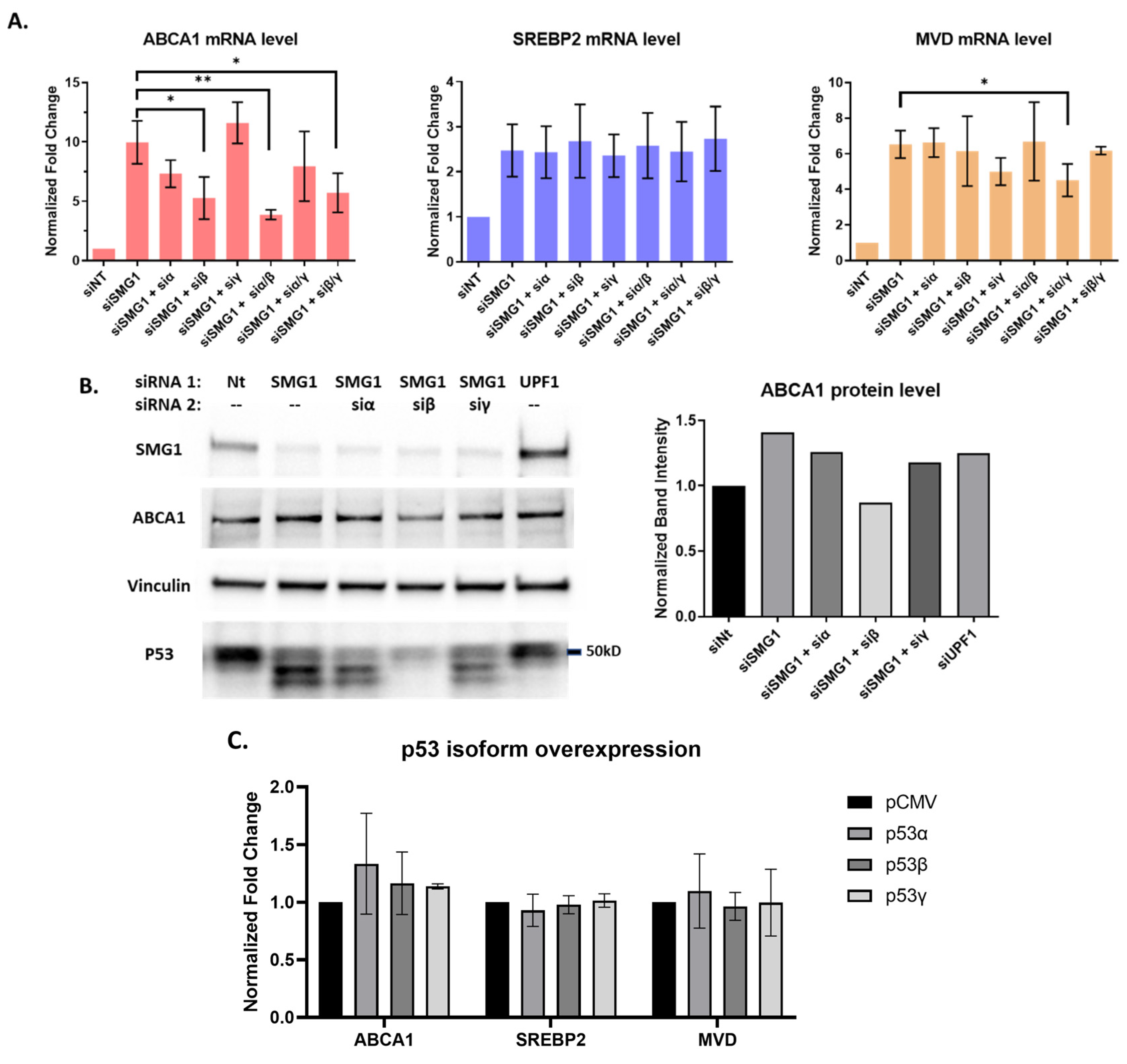 Cancers 14 03255 g003 Cancers 14 03255 g003