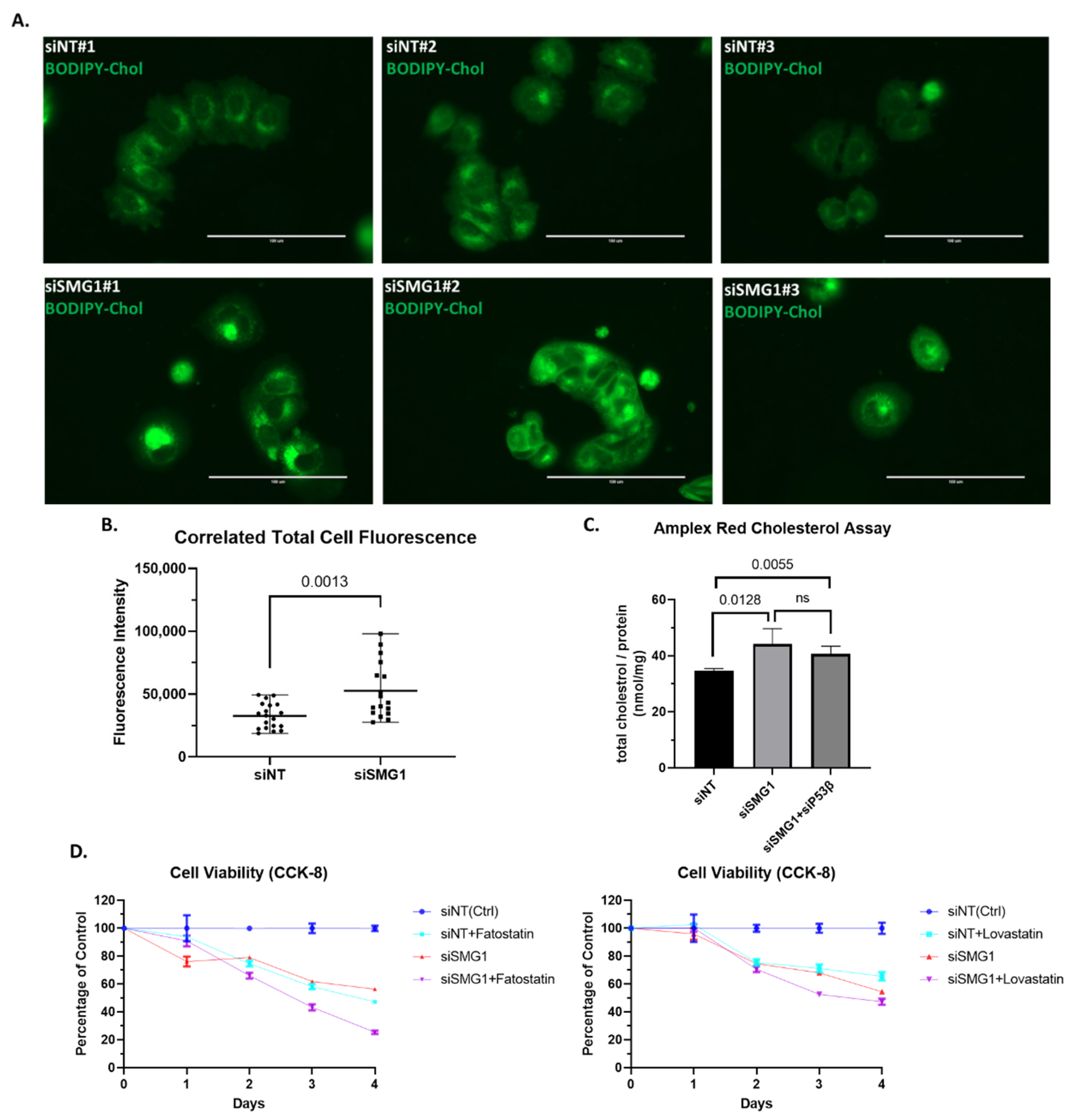 Cancers 14 03255 g005 Cancers 14 03255 g005