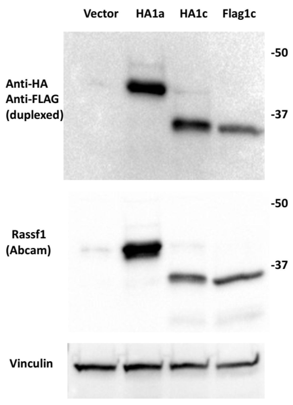 Cancers 14 03255 g0a4 Cancers 14 03255 g0a4