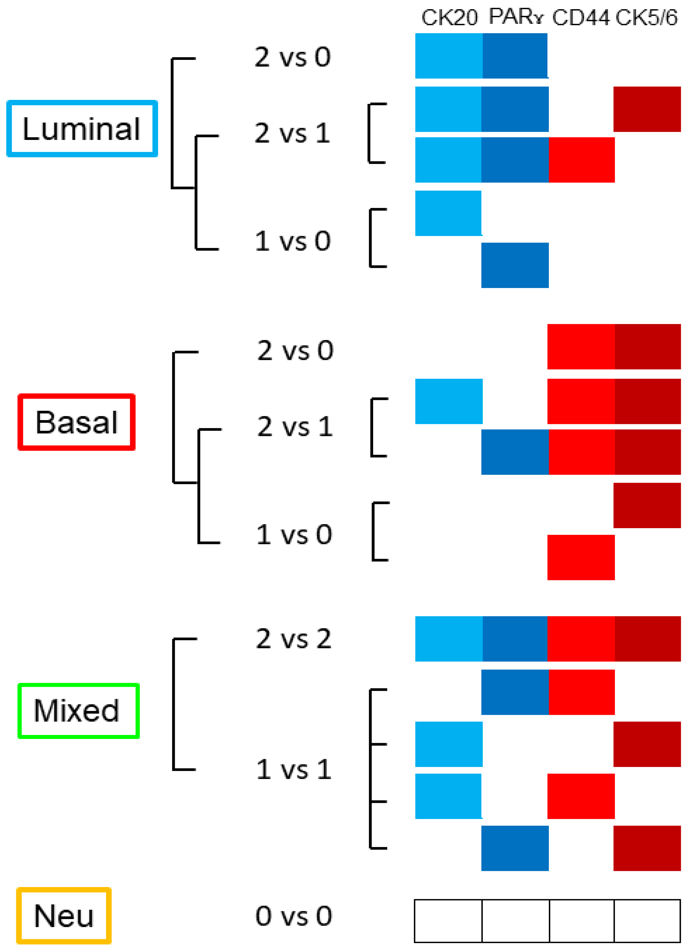 Cancers 14 03256 g001