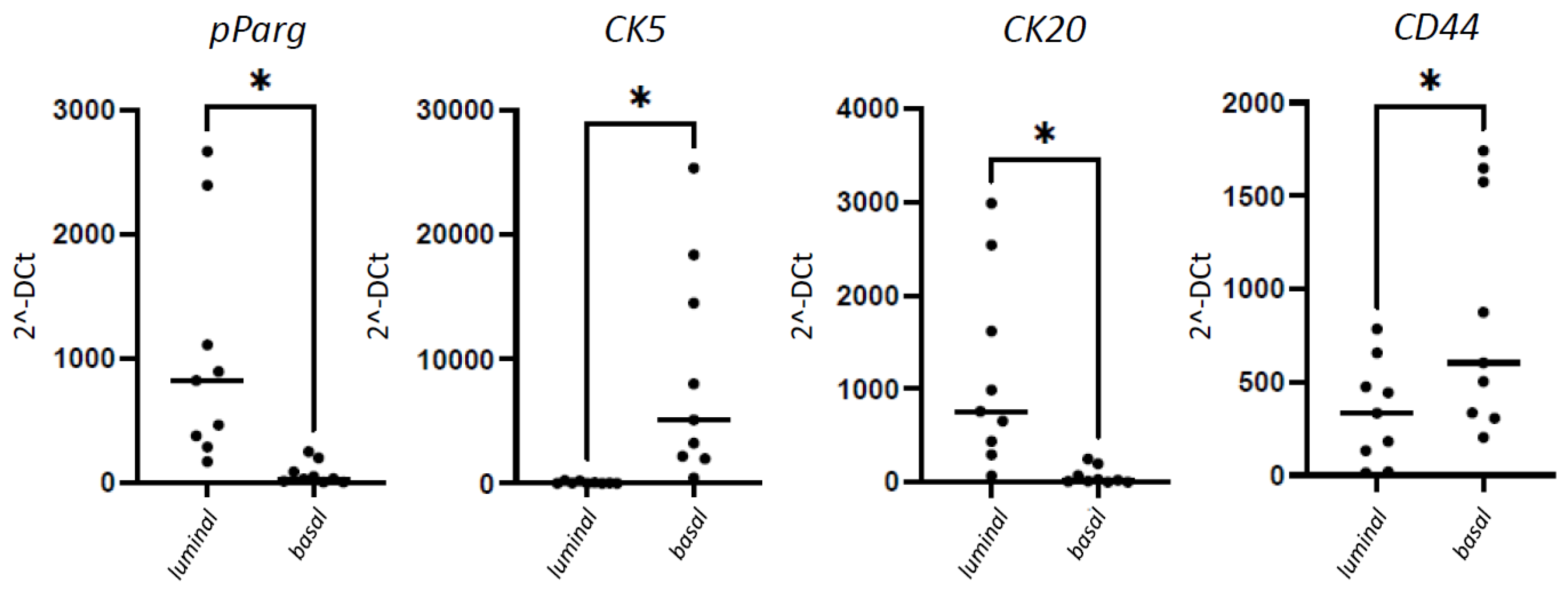Cancers 14 03256 g003