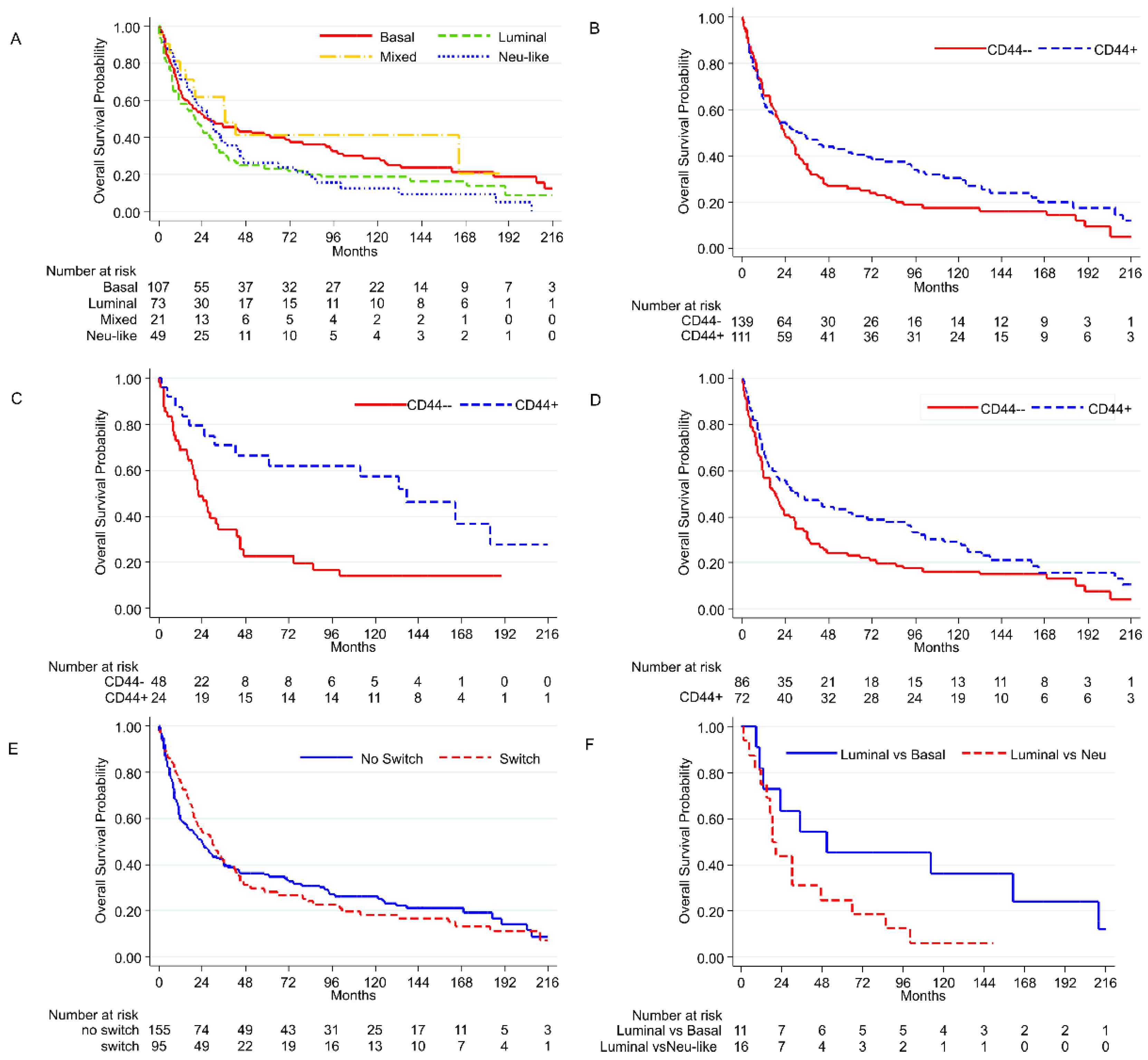 Cancers 14 03256 g006
