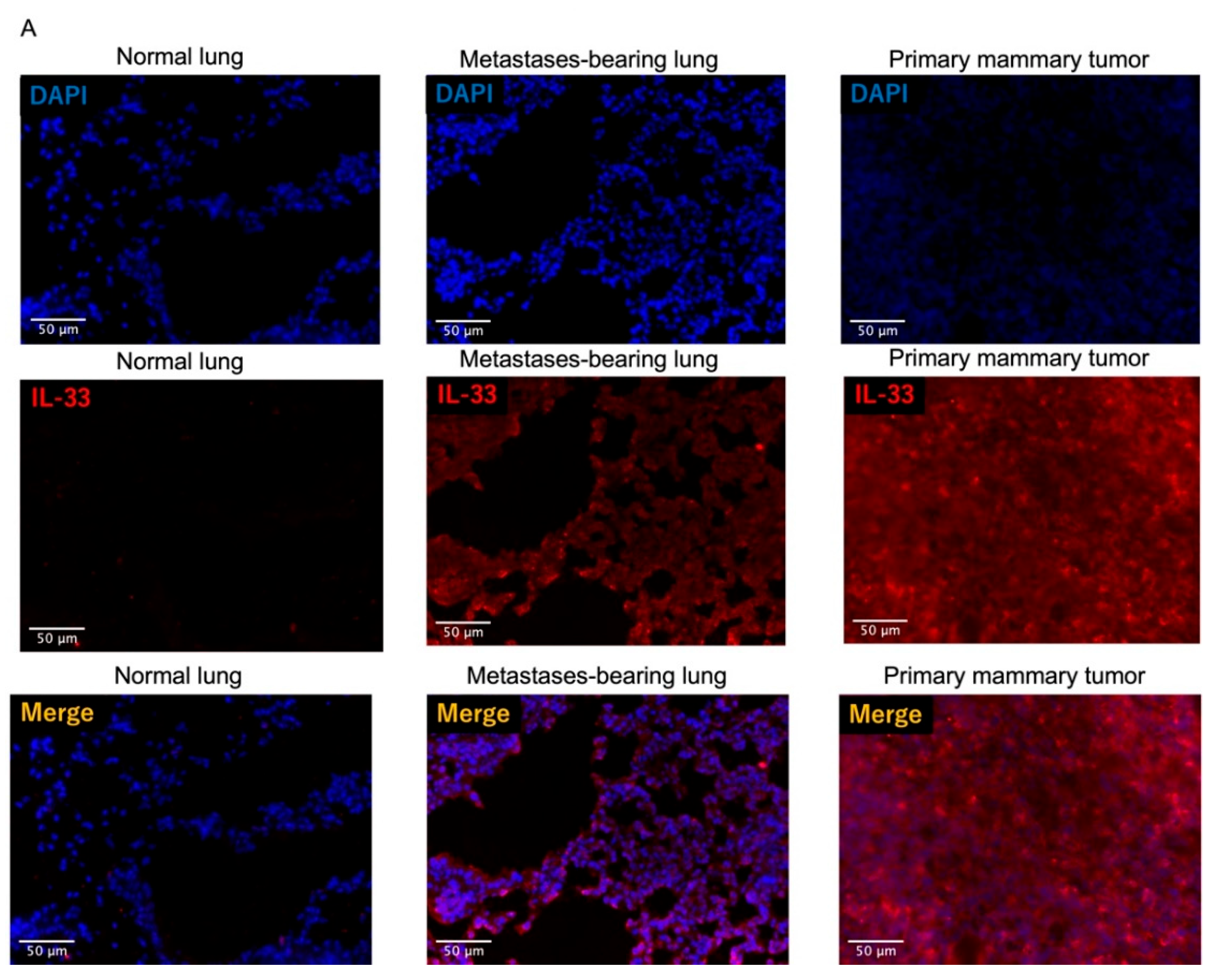 Cancers 14 03267 g005a