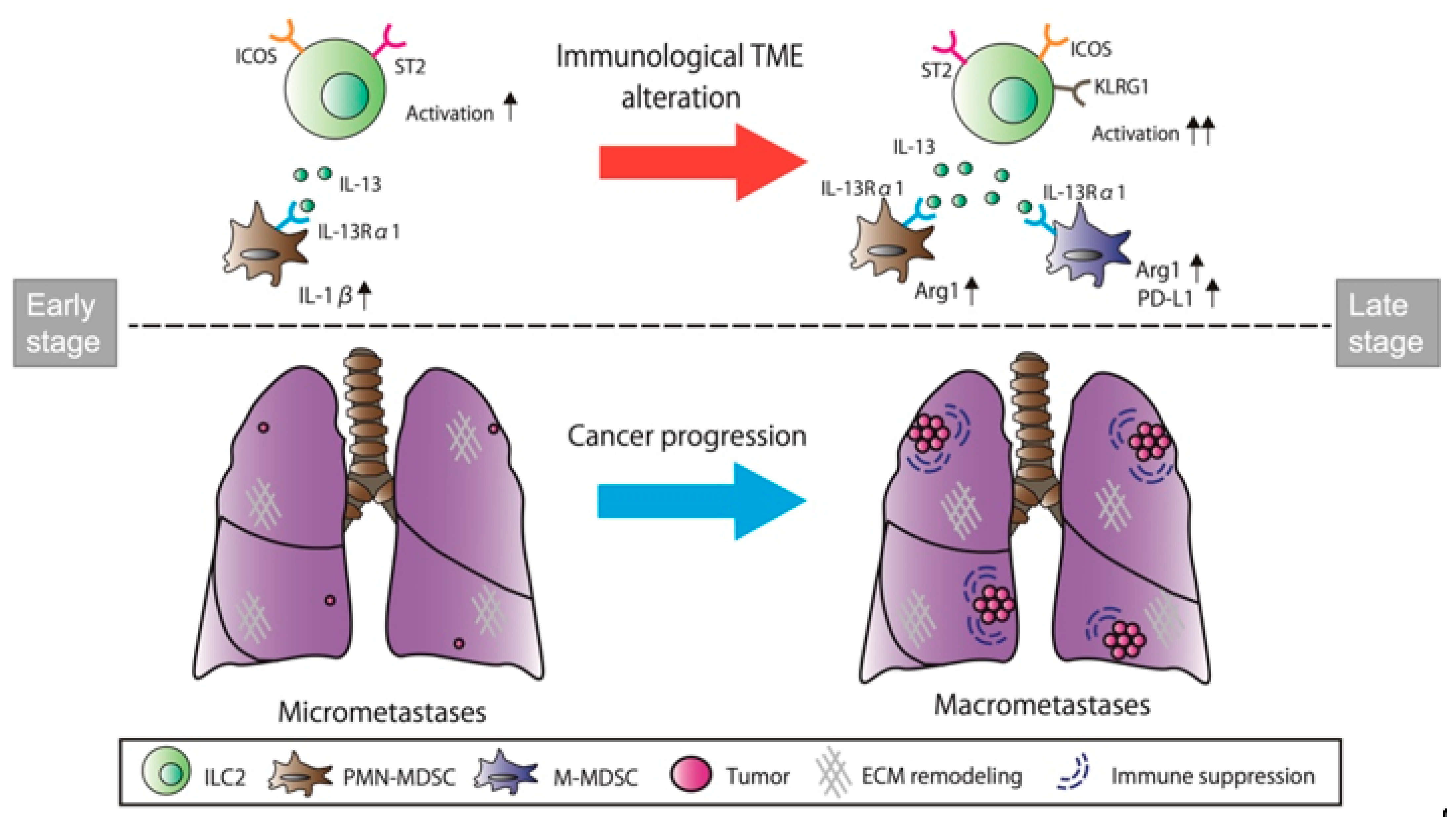 Cancers 14 03267 g007