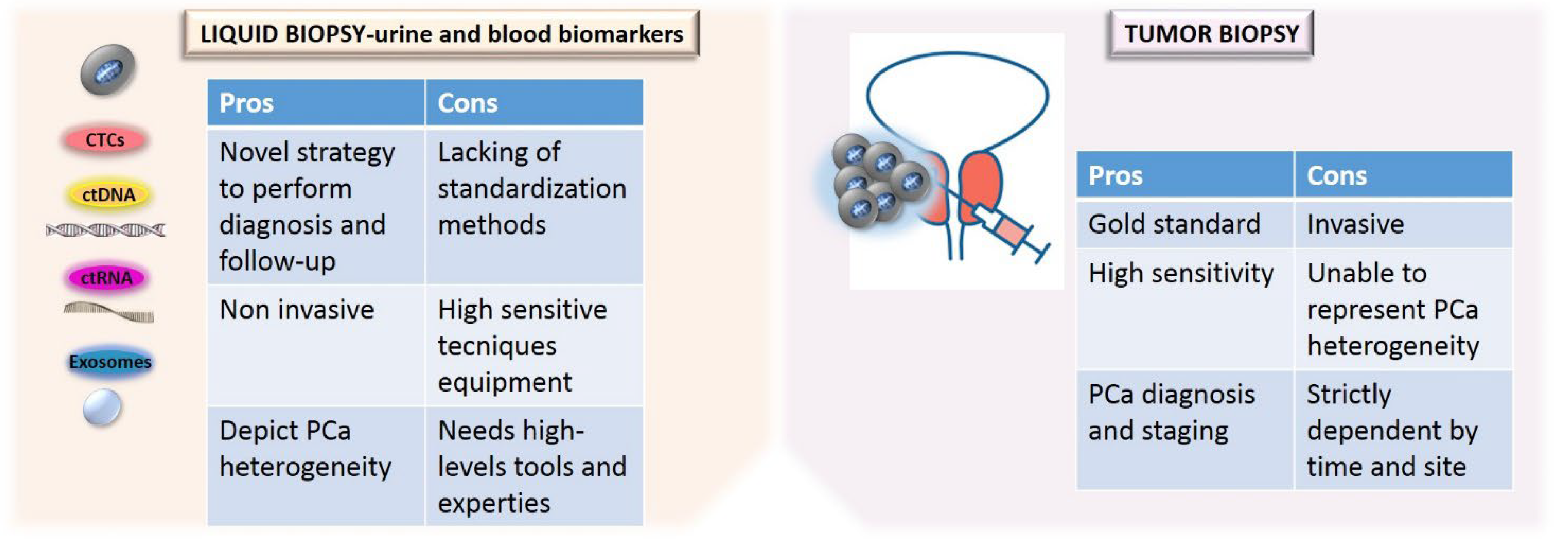 Cancers 14 03272 g002