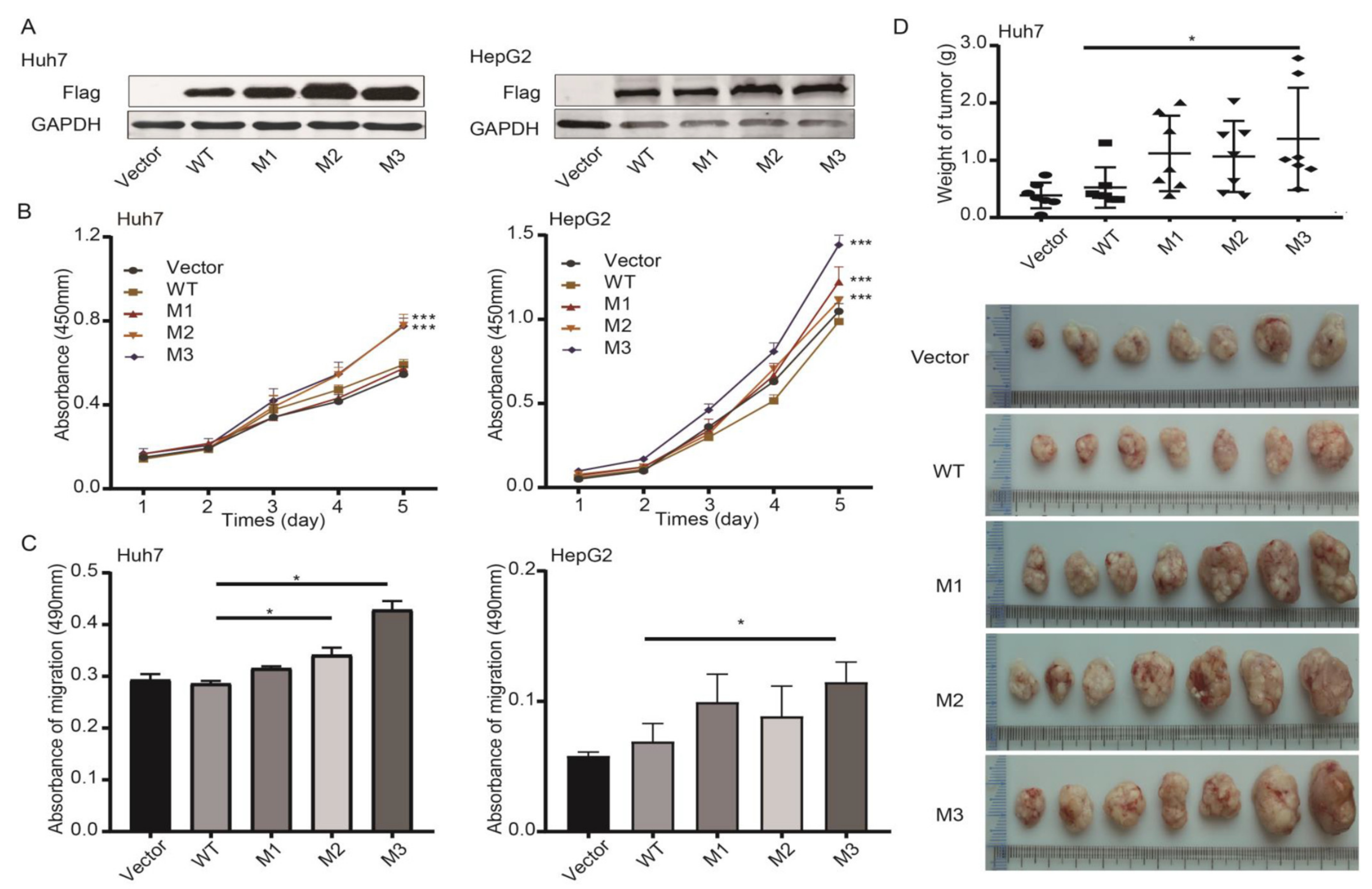 Cancers 14 03274 g004