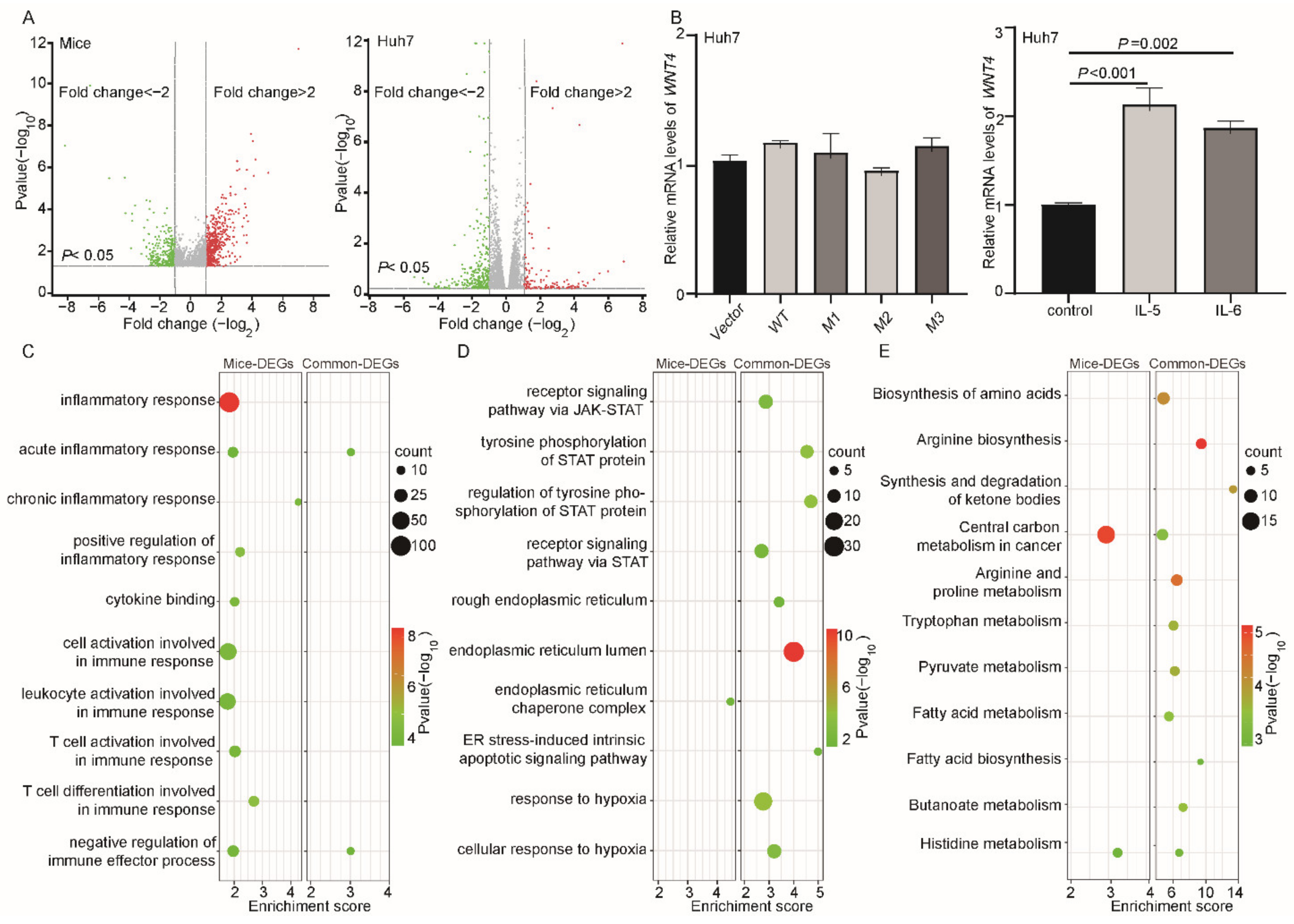 Cancers 14 03274 g005