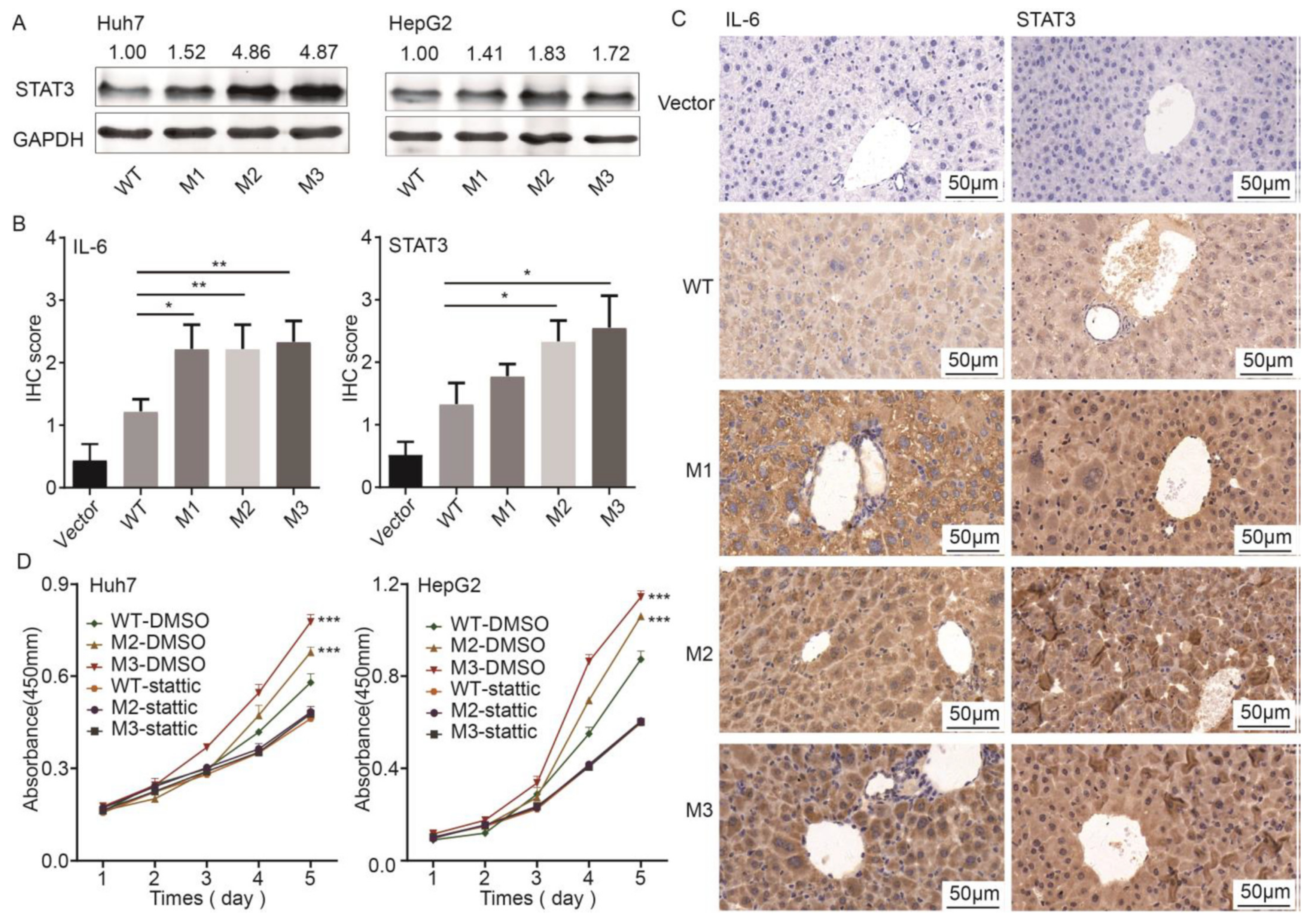 Cancers 14 03274 g006