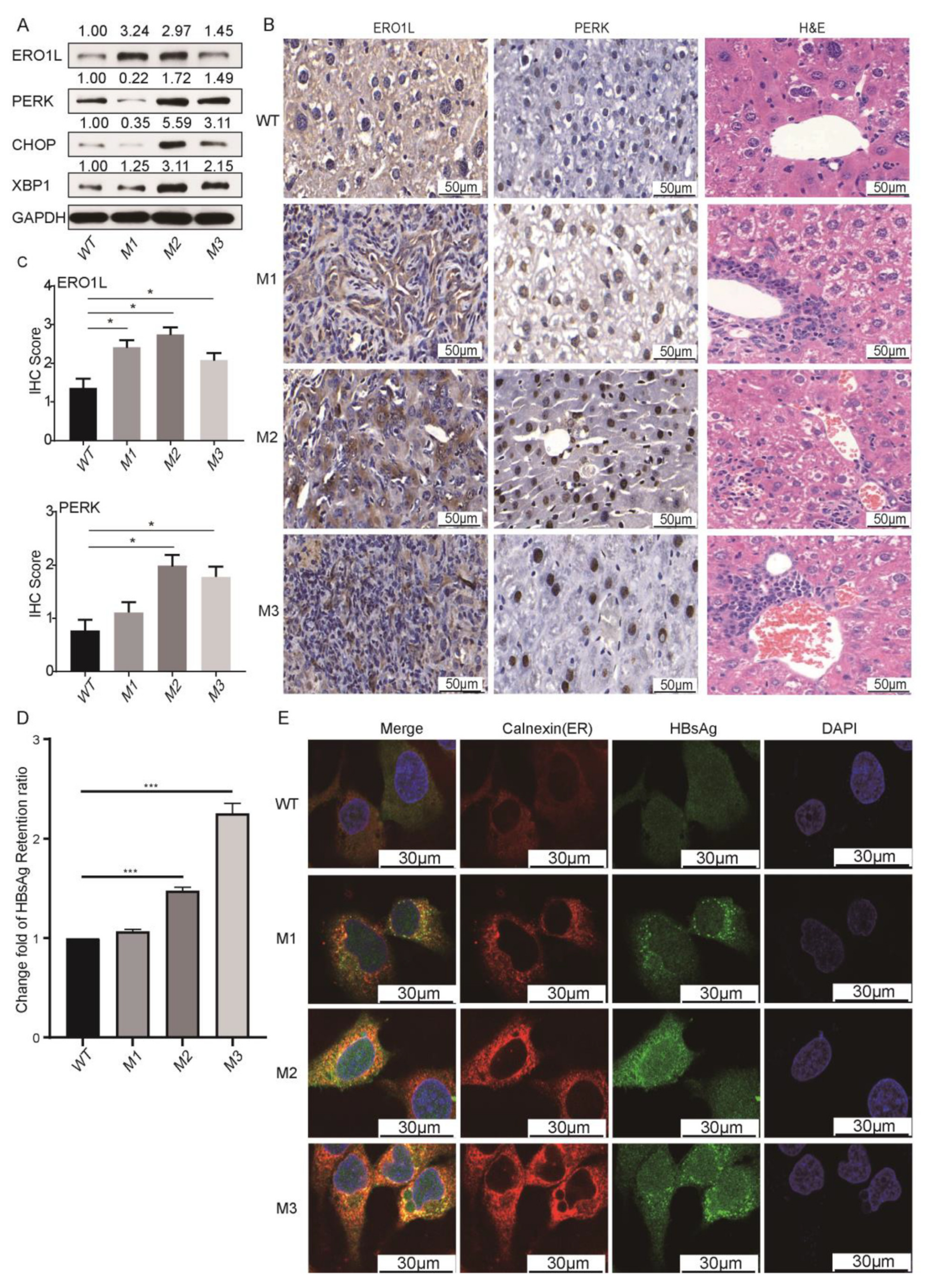 Cancers 14 03274 g007