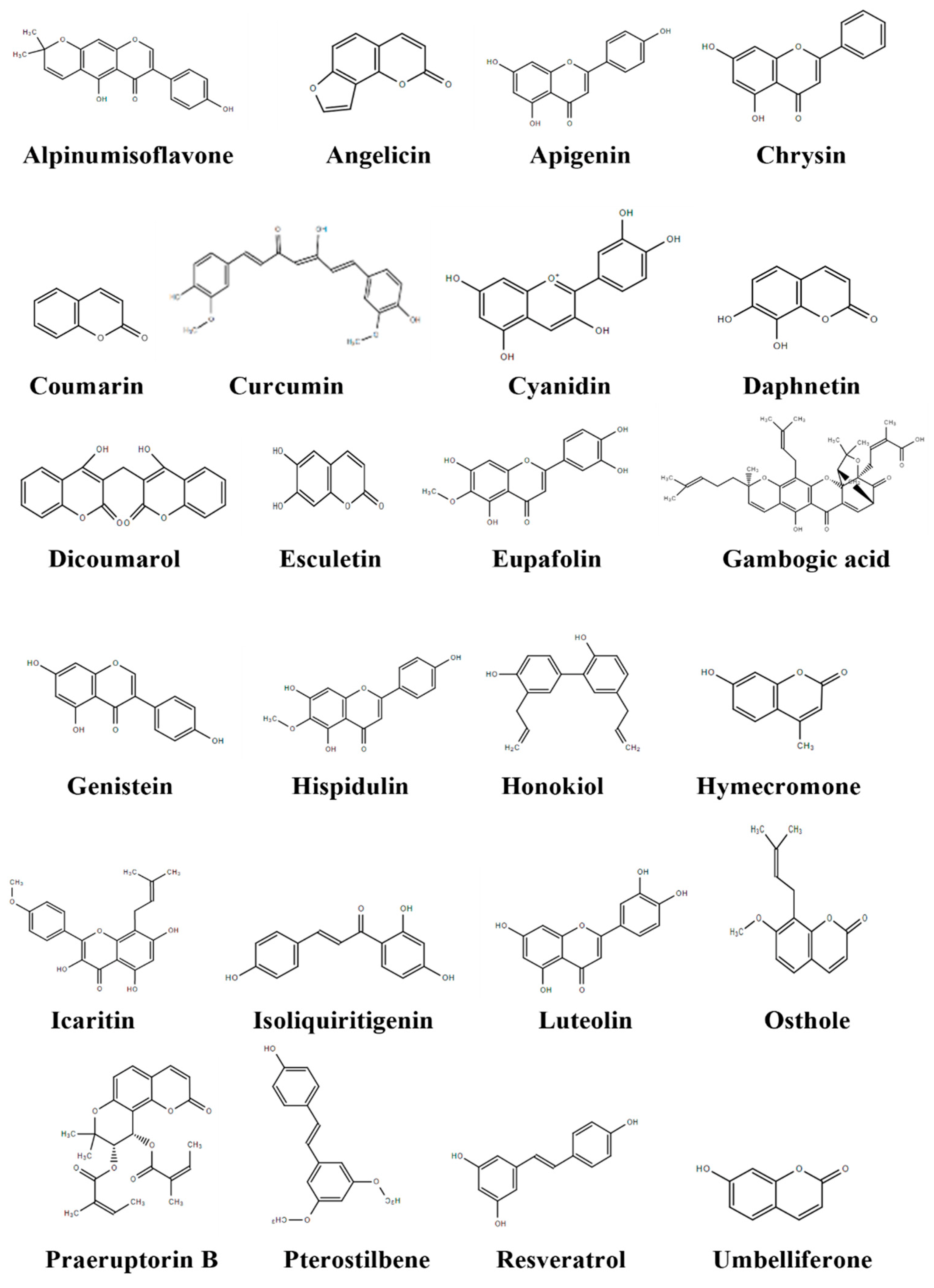 Cancers 14 03278 g002 Cancers 14 03278 g002