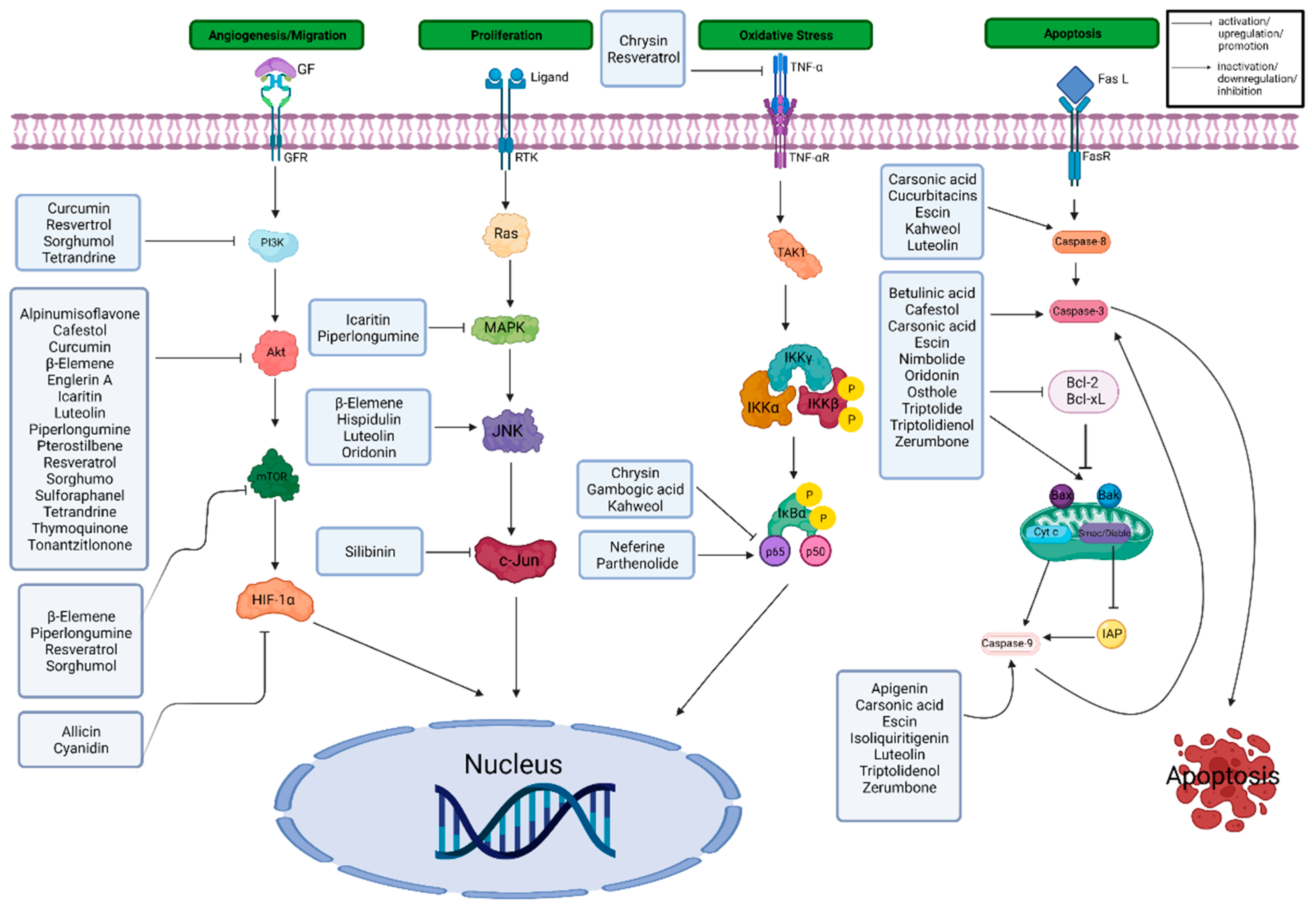 Cancers 14 03278 g006 Cancers 14 03278 g006
