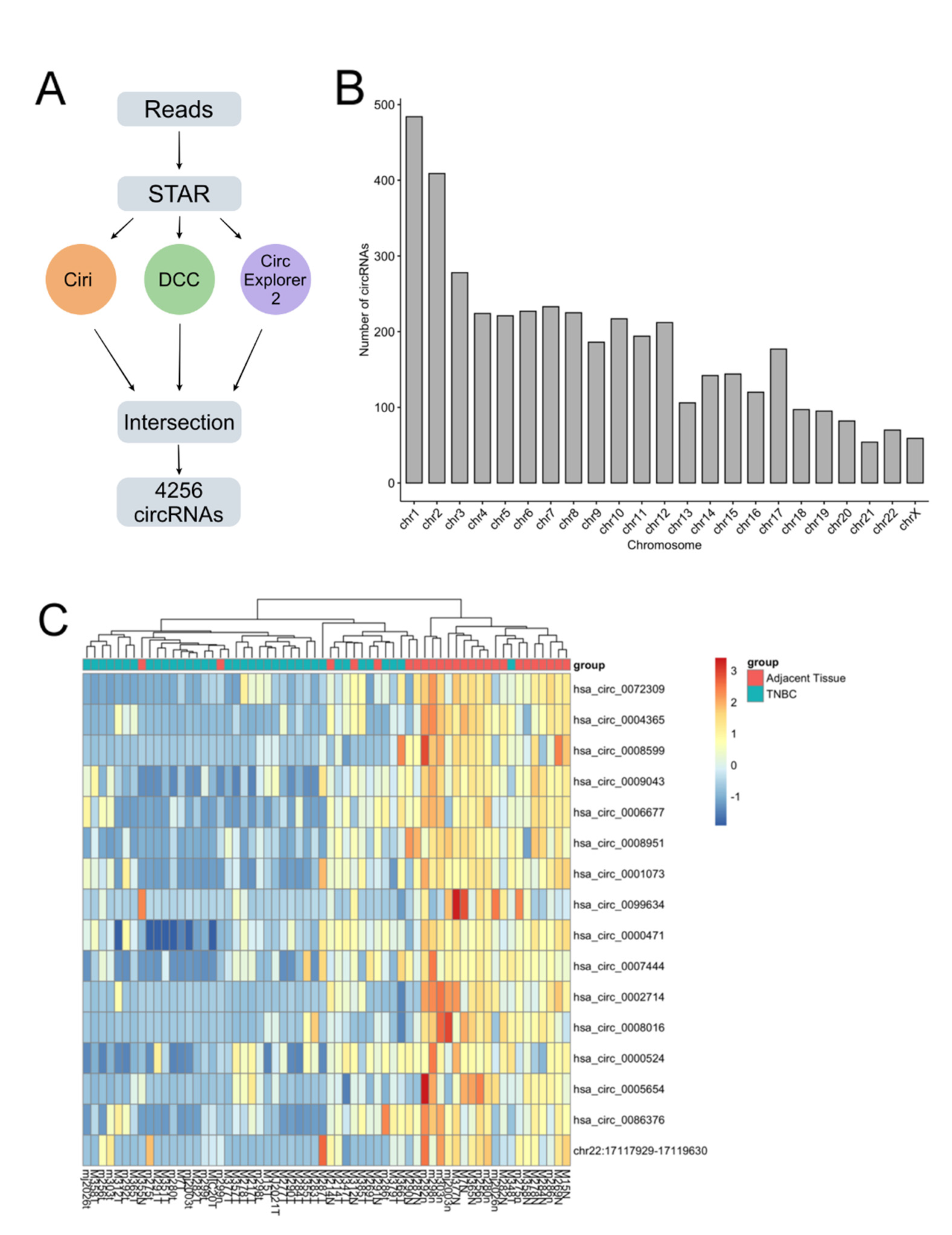 Cancers 14 03280 g001