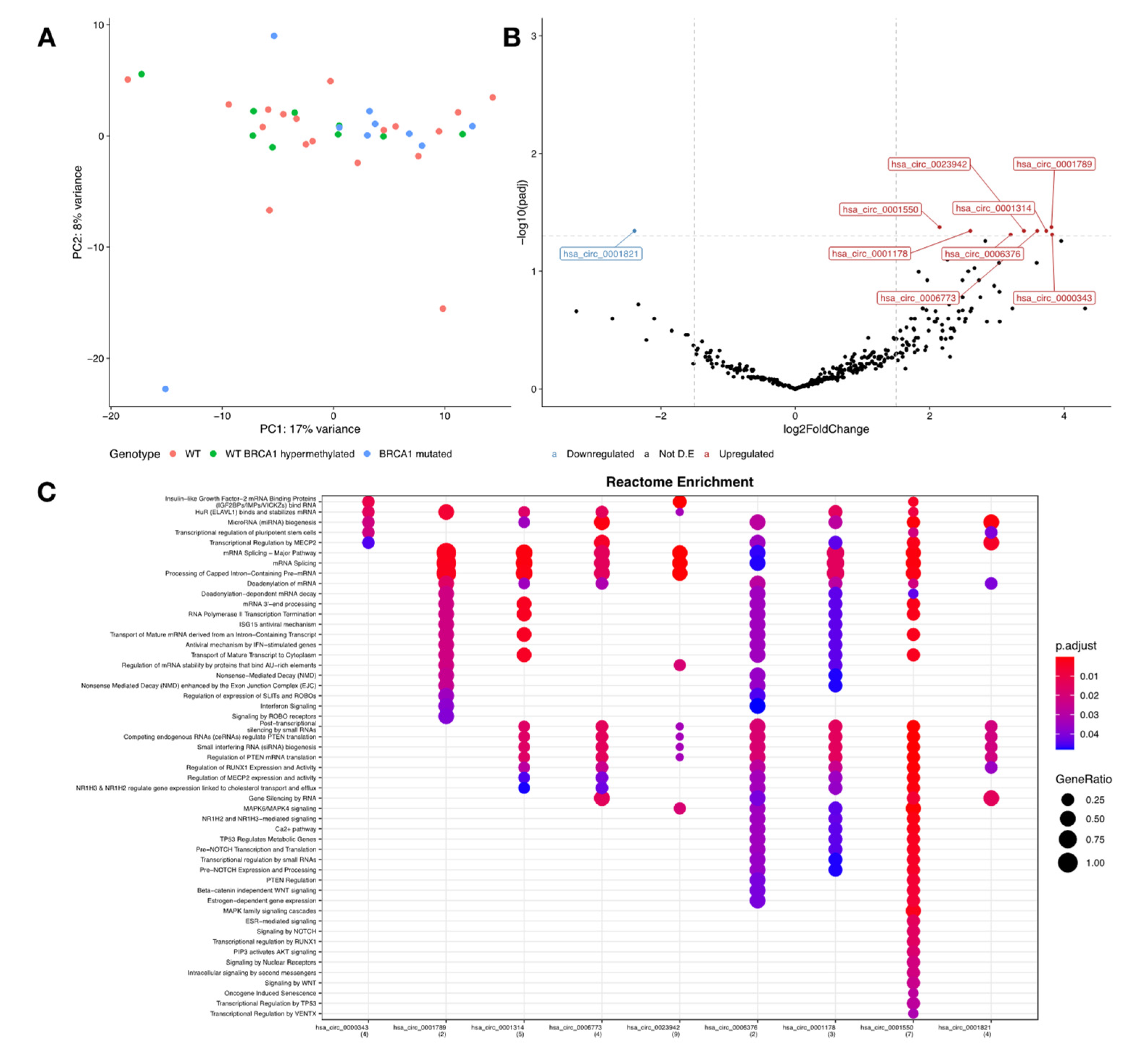 Cancers 14 03280 g004