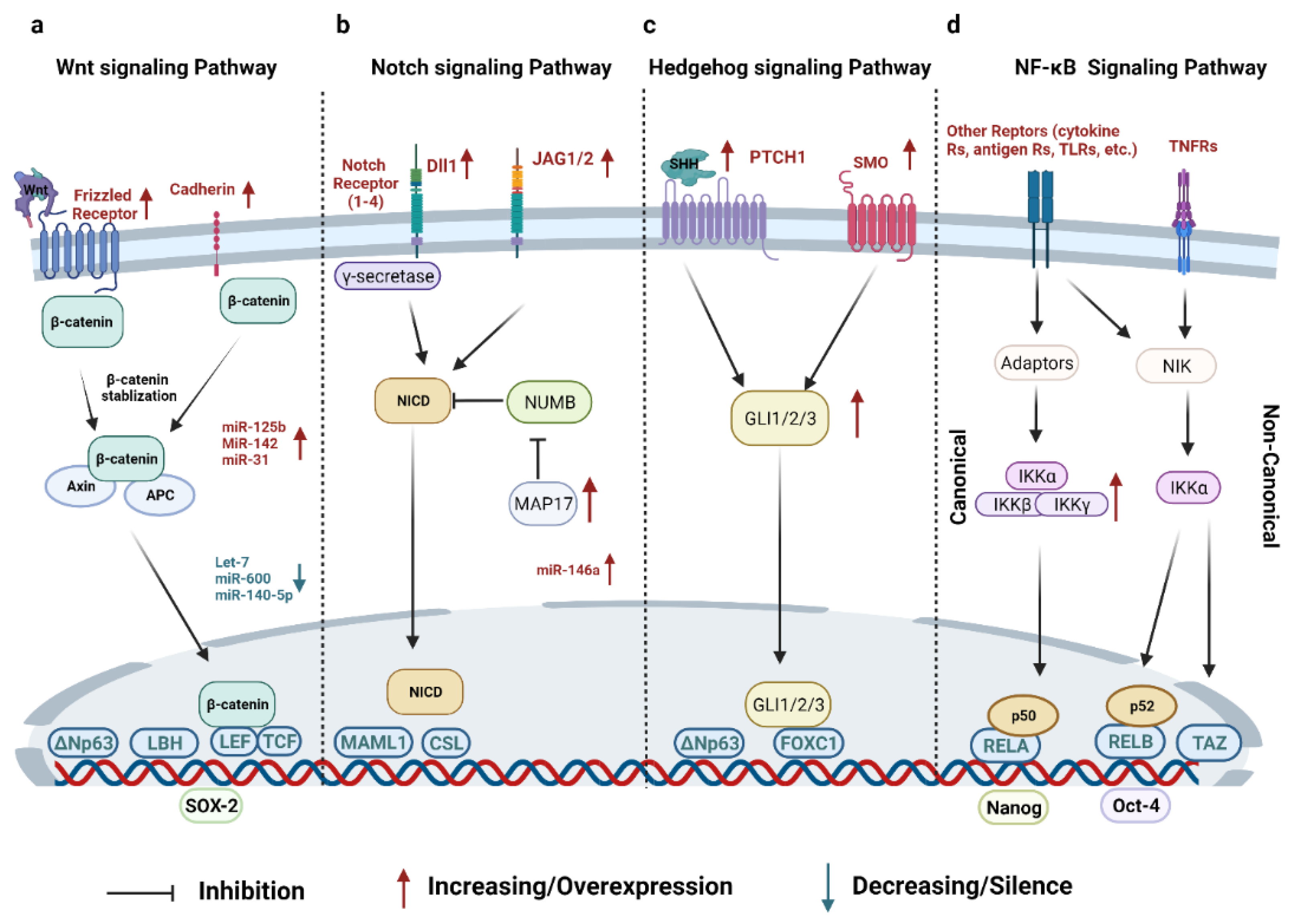 Cancers 14 03287 g001