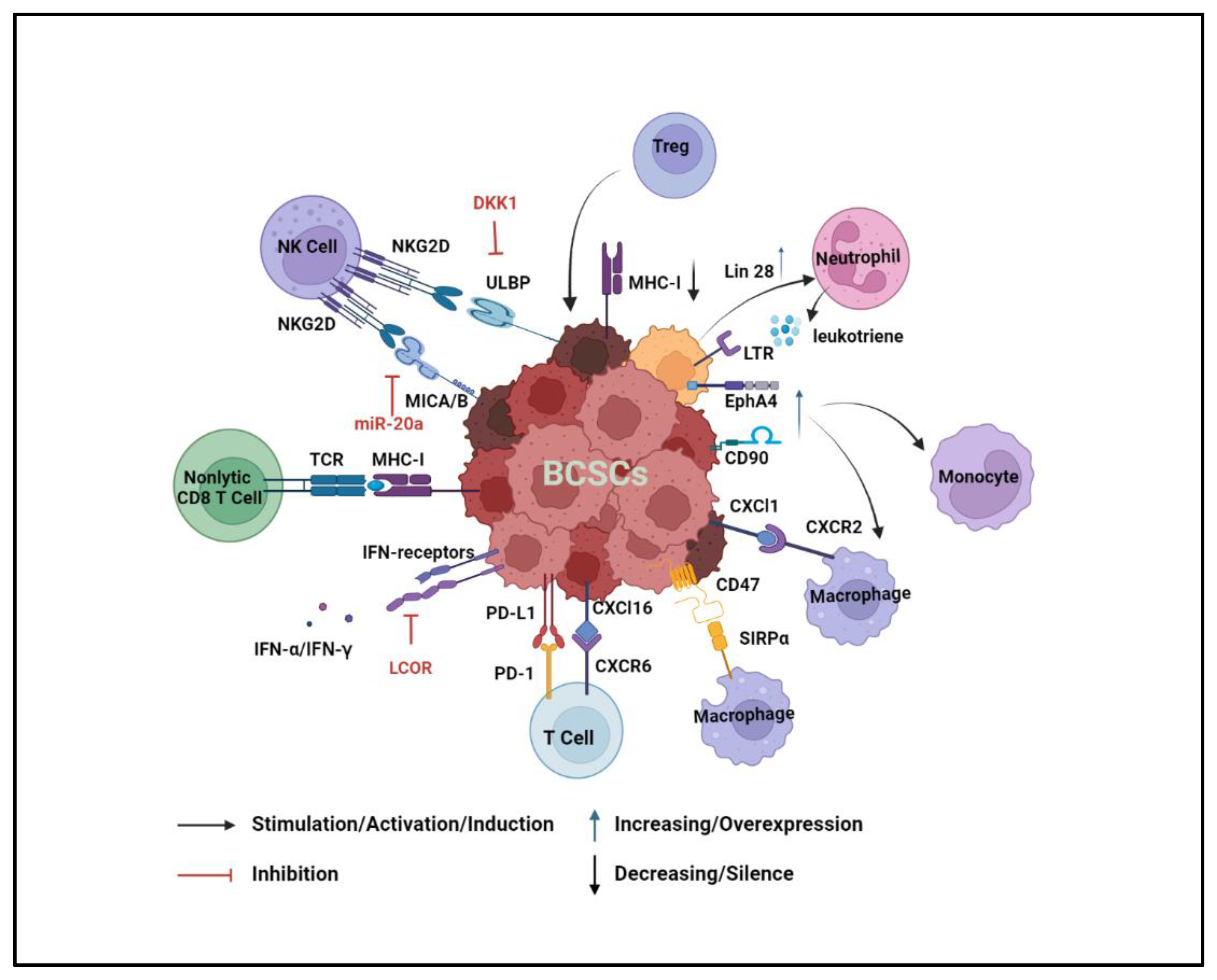 Cancers 14 03287 g003