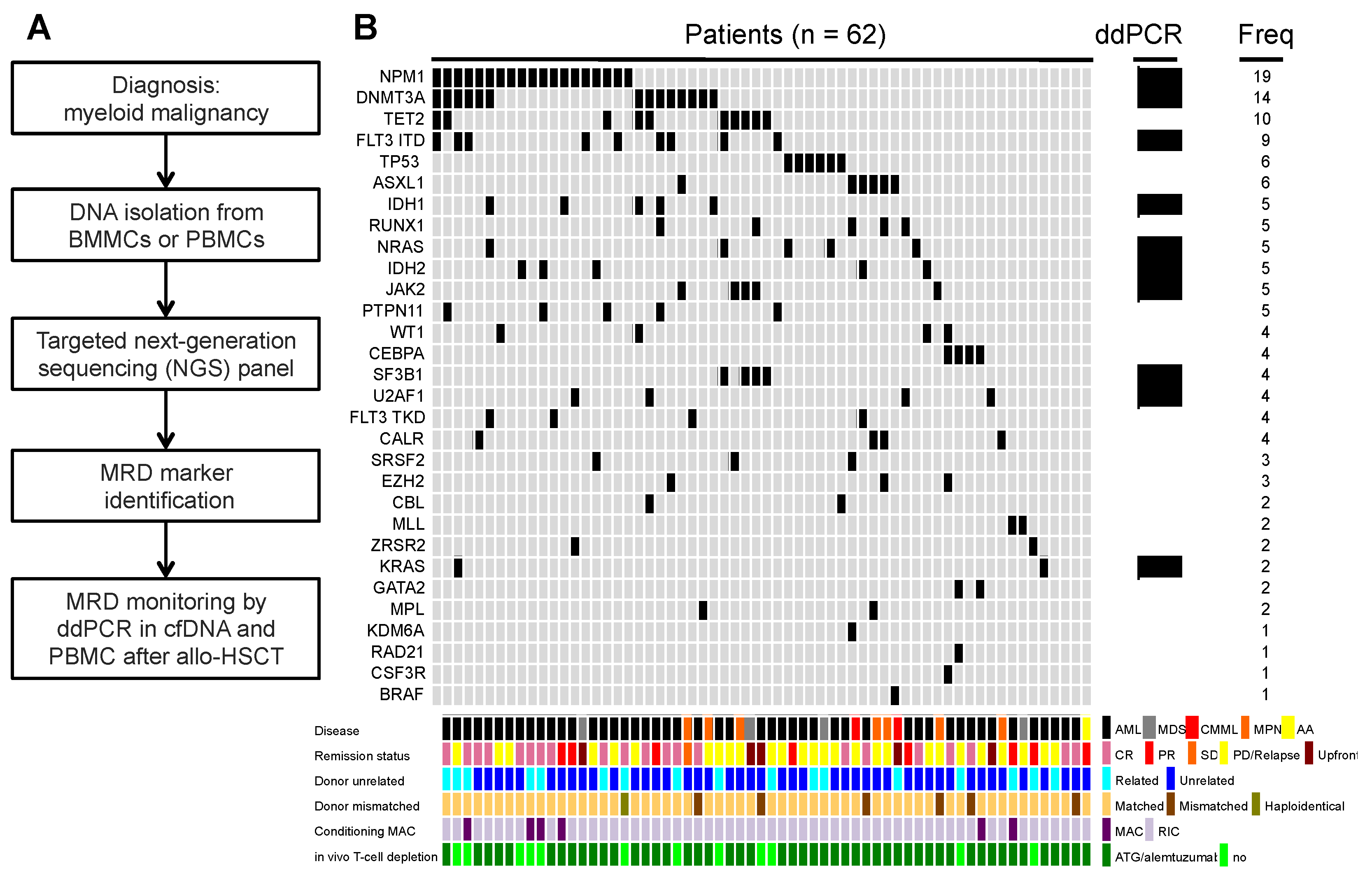 Cancers 14 03307 g002