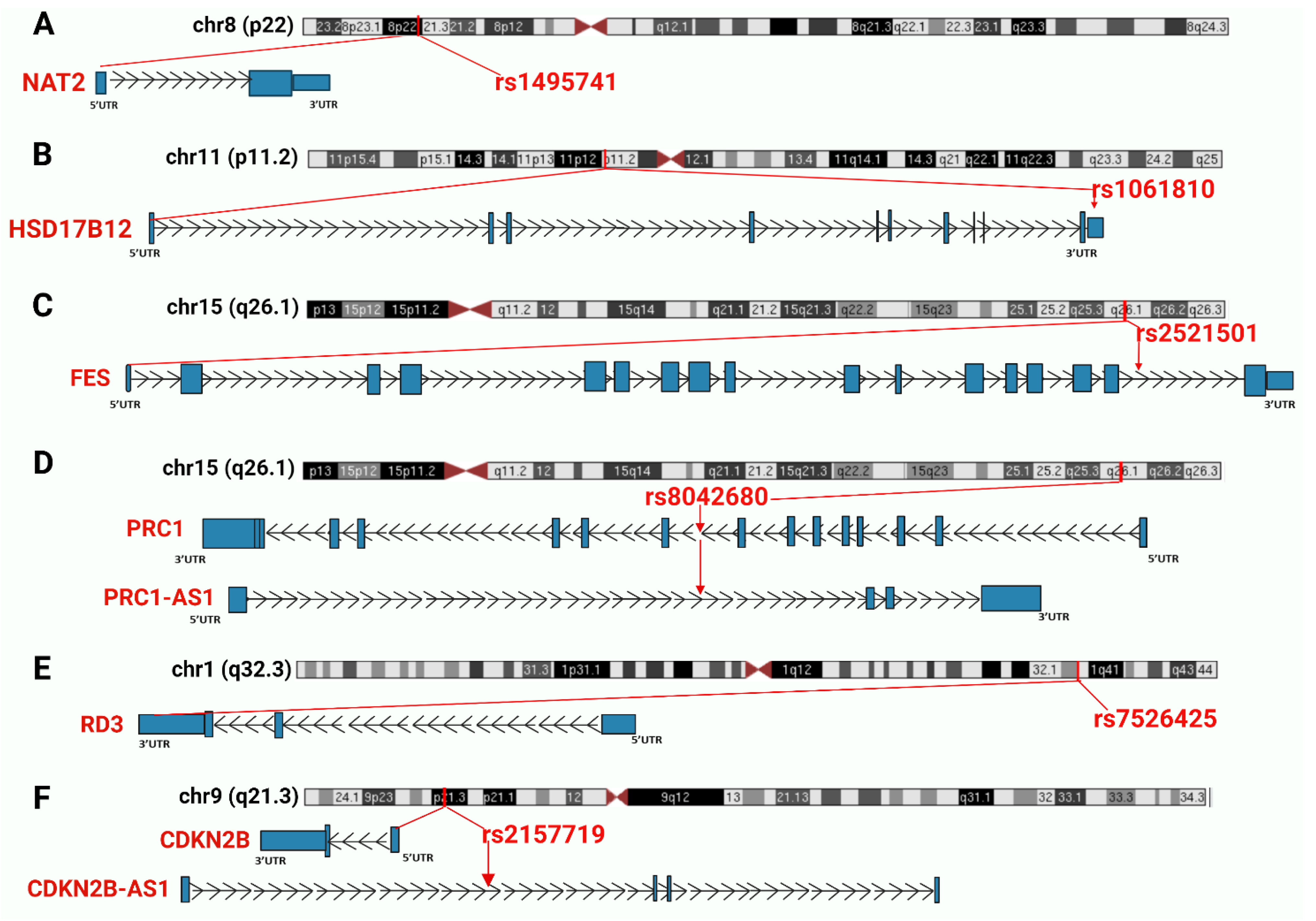 Cancers 14 03313 g003