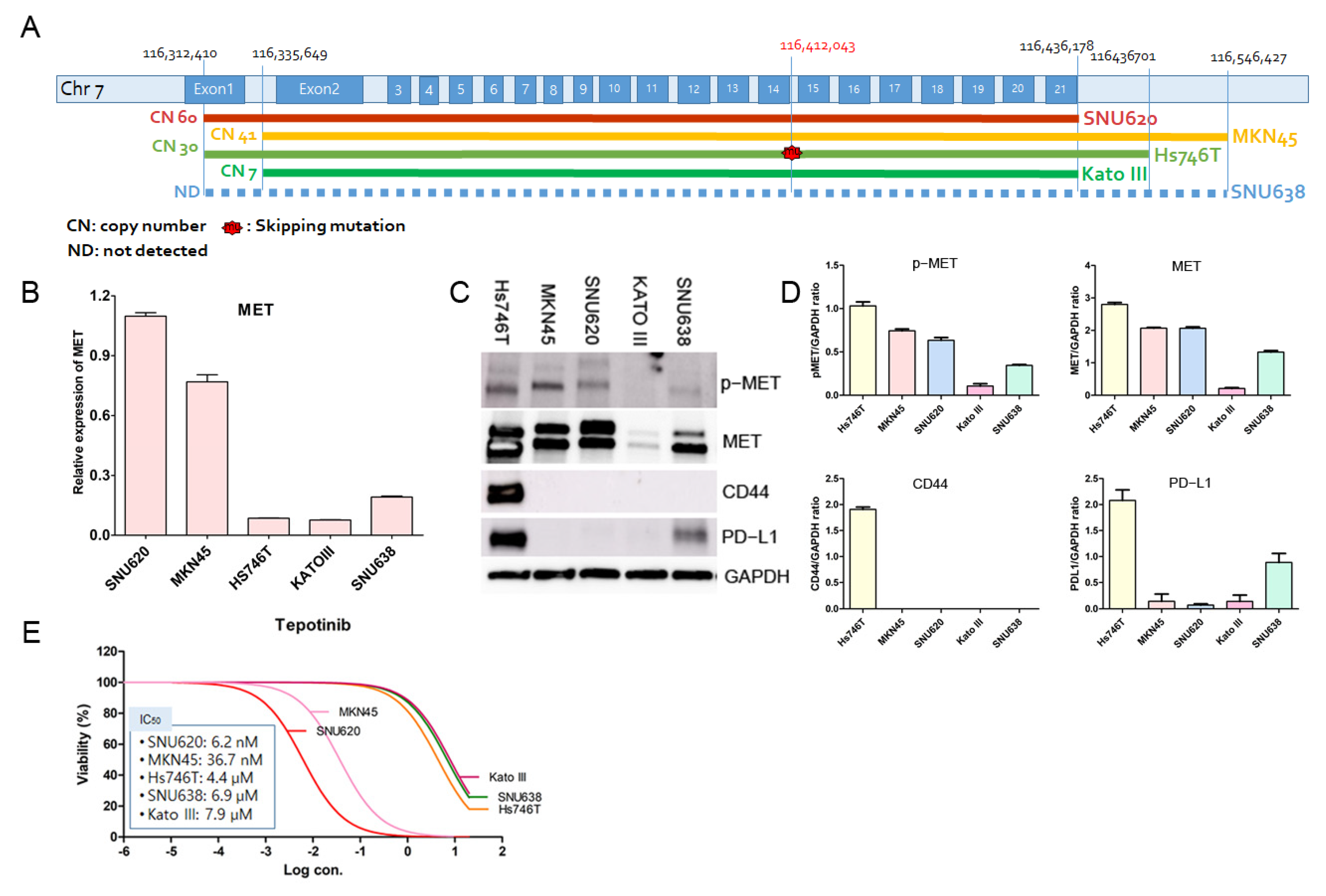 Cancers 14 03444 g002