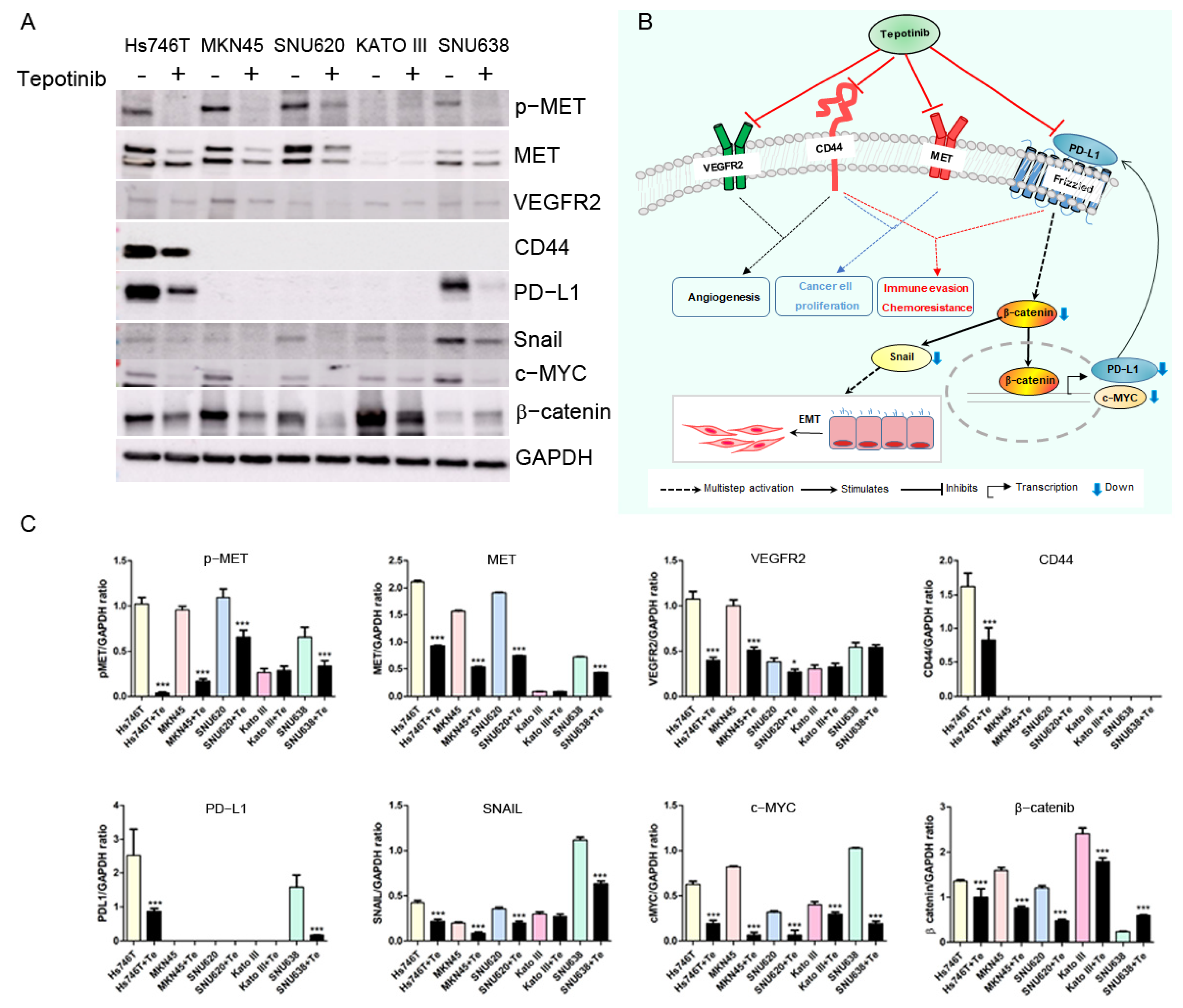 Cancers 14 03444 g005