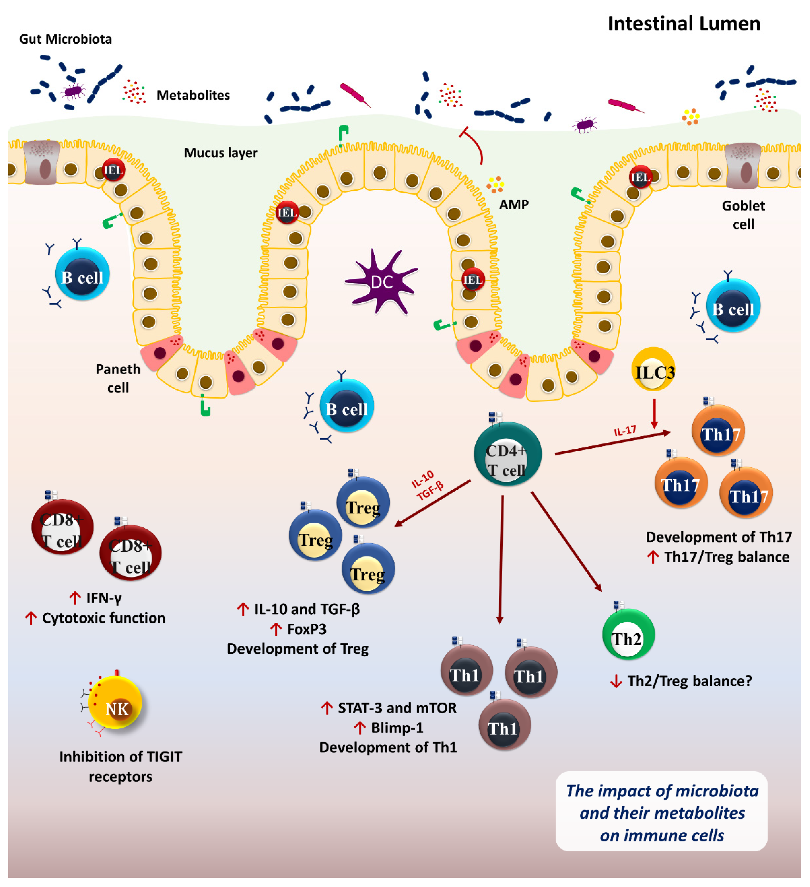 Cancers 14 03563 g001