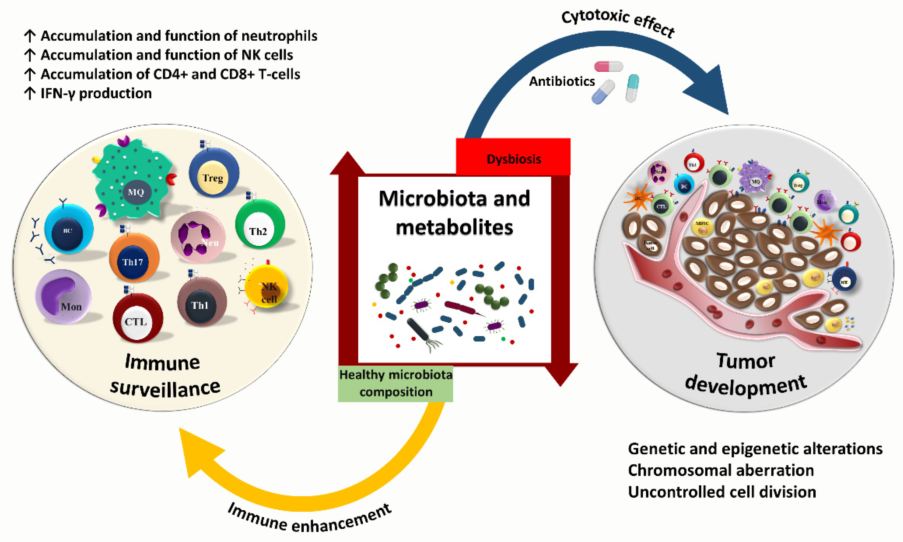 Cancers 14 03563 g002