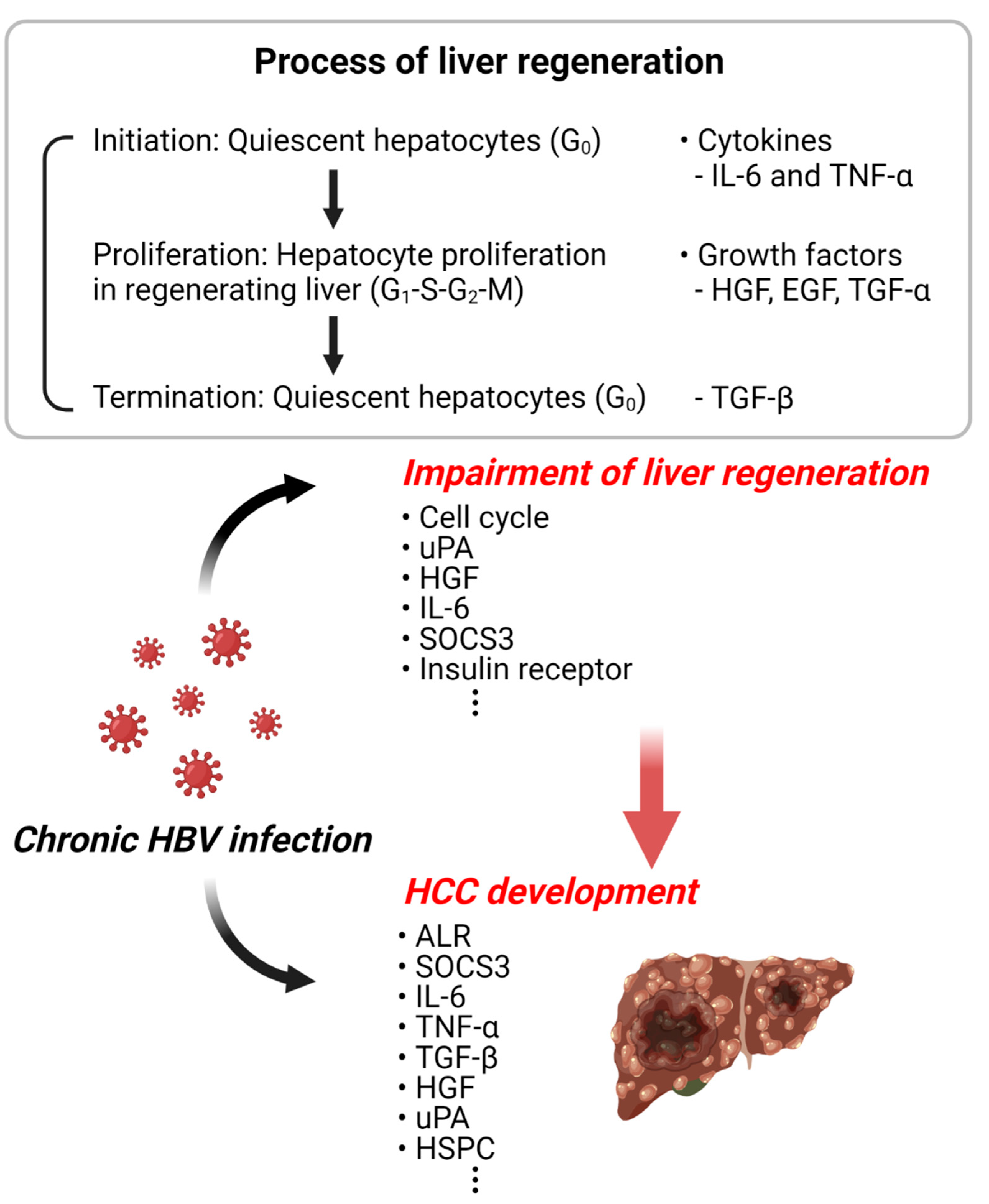 Cancers 14 03566 g002