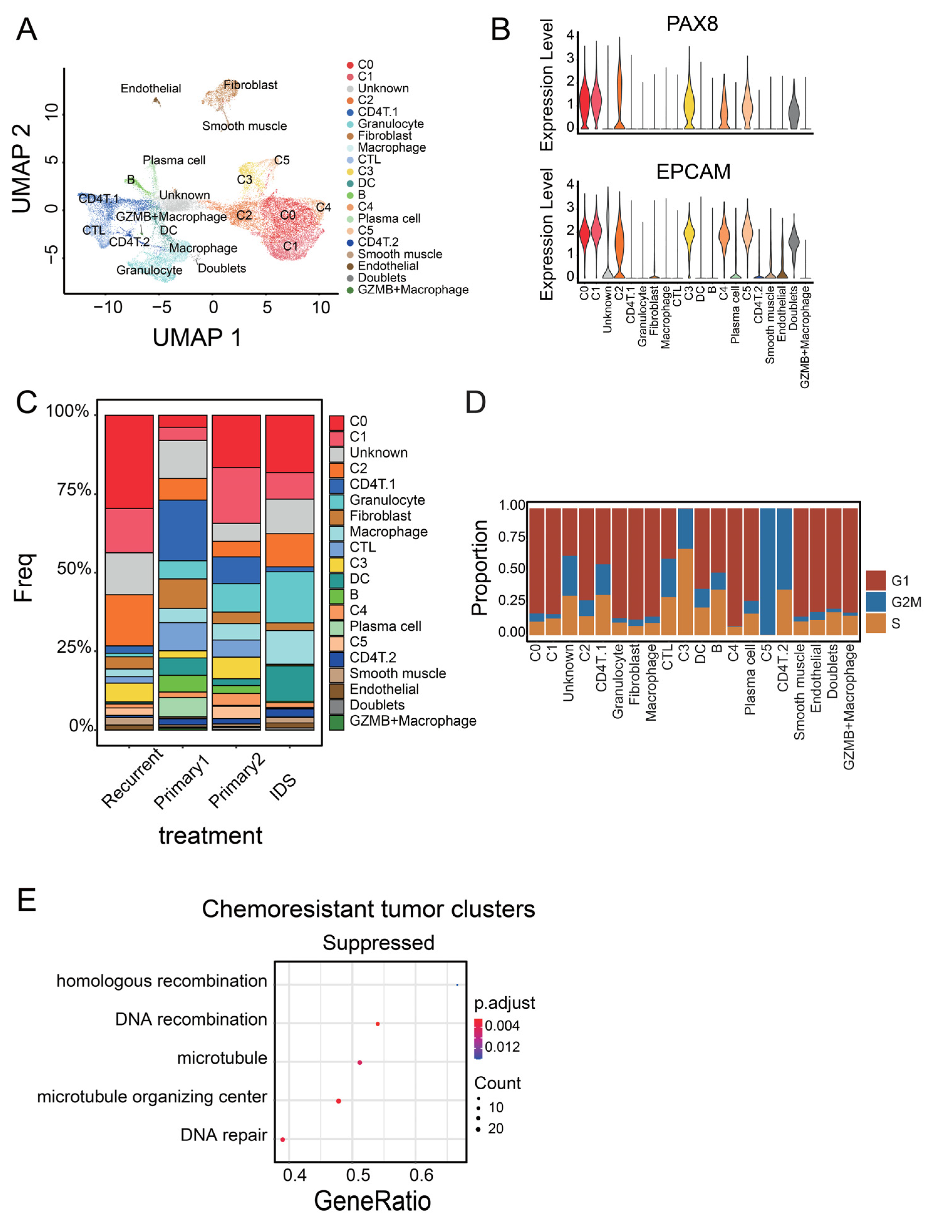 Cancers 14 03580 g001