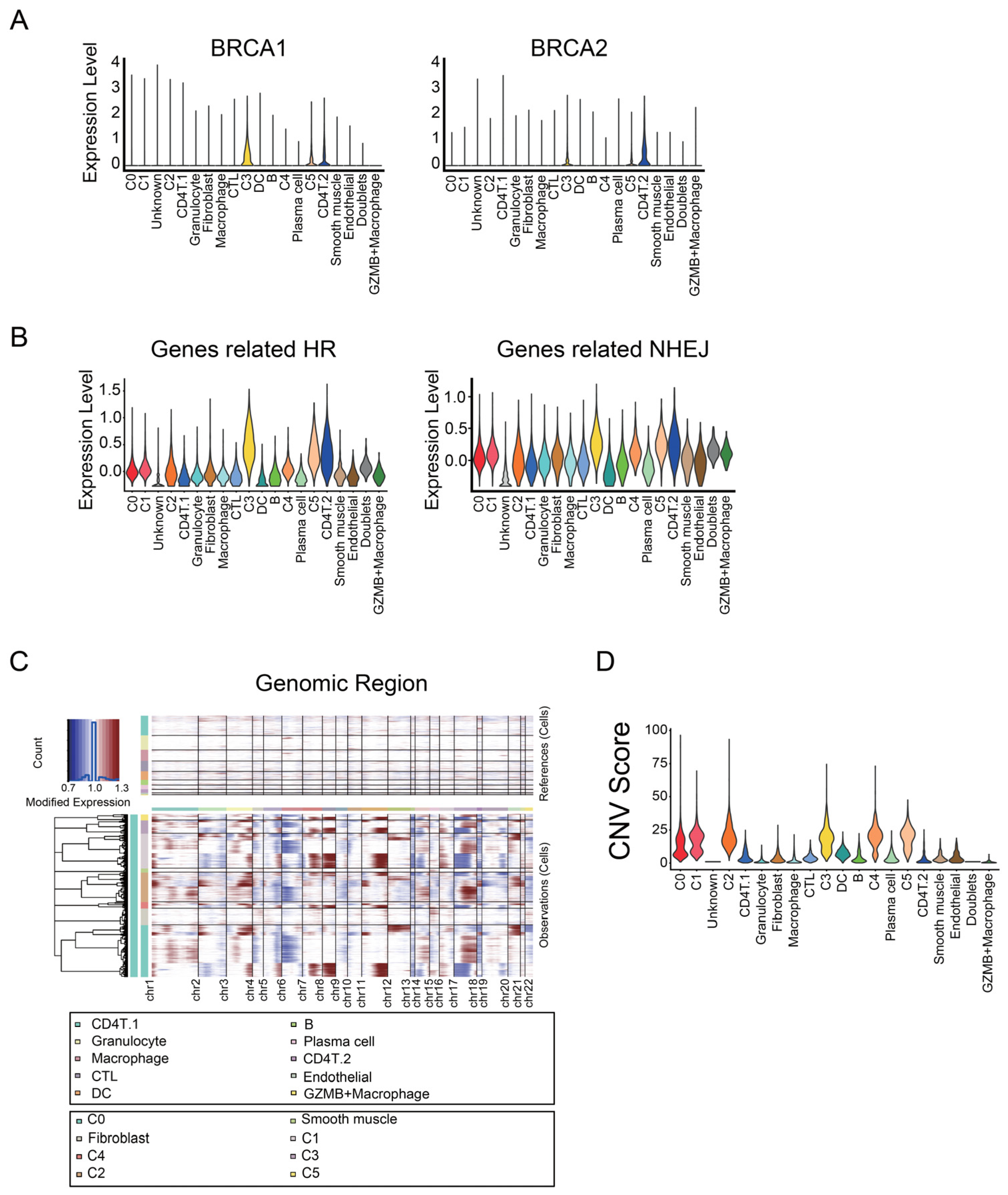 Cancers 14 03580 g004