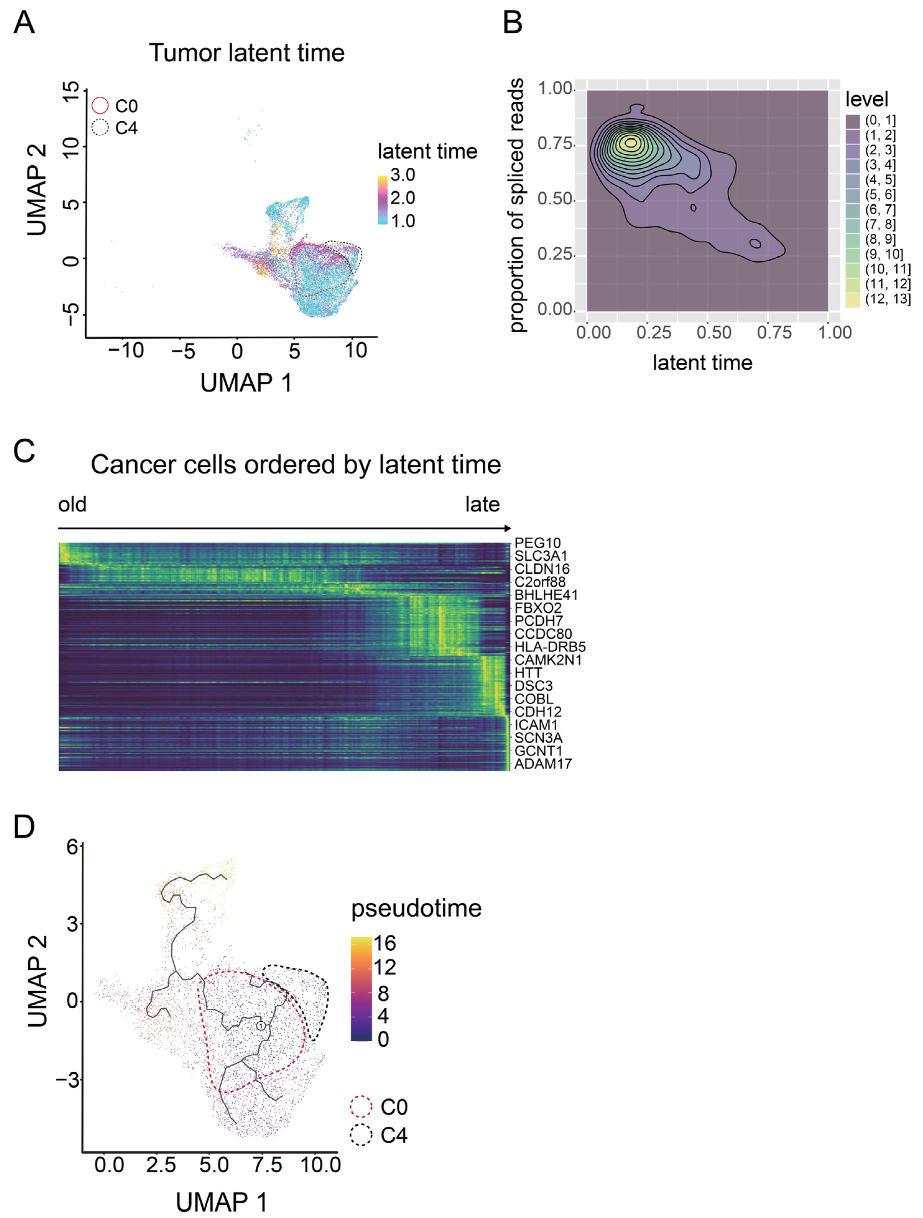 Cancers 14 03580 g005