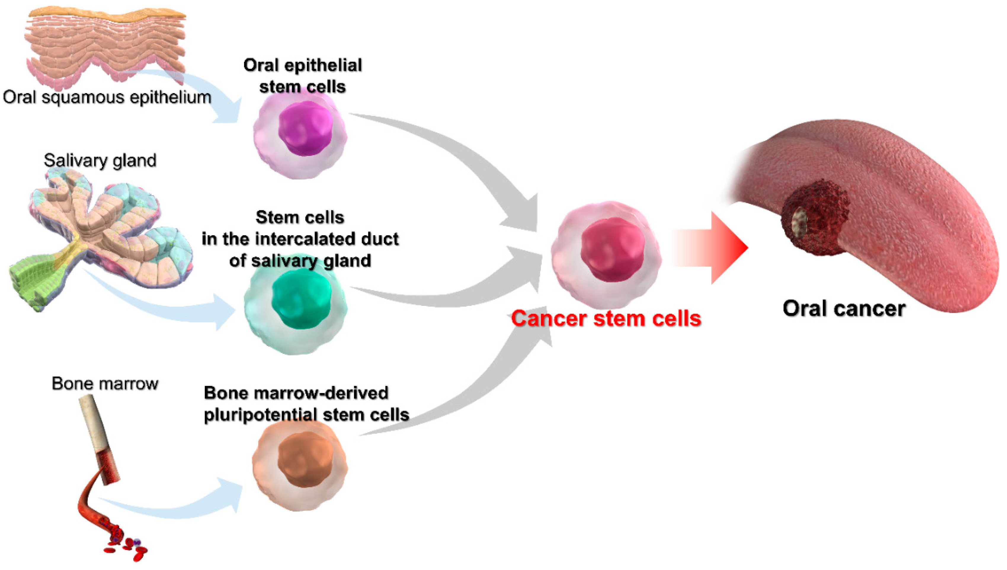 Cancers 14 03588 g003