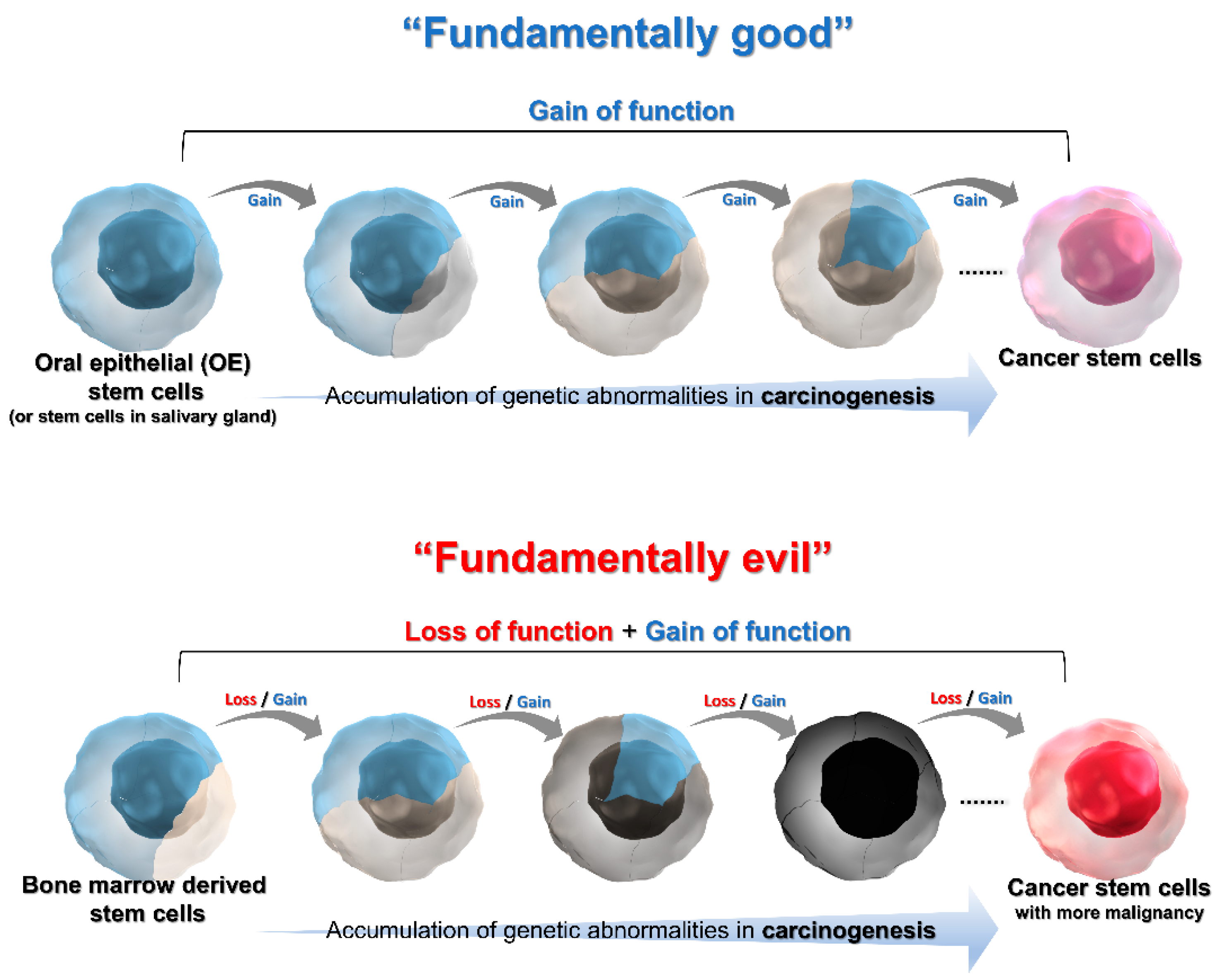 Cancers 14 03588 g004