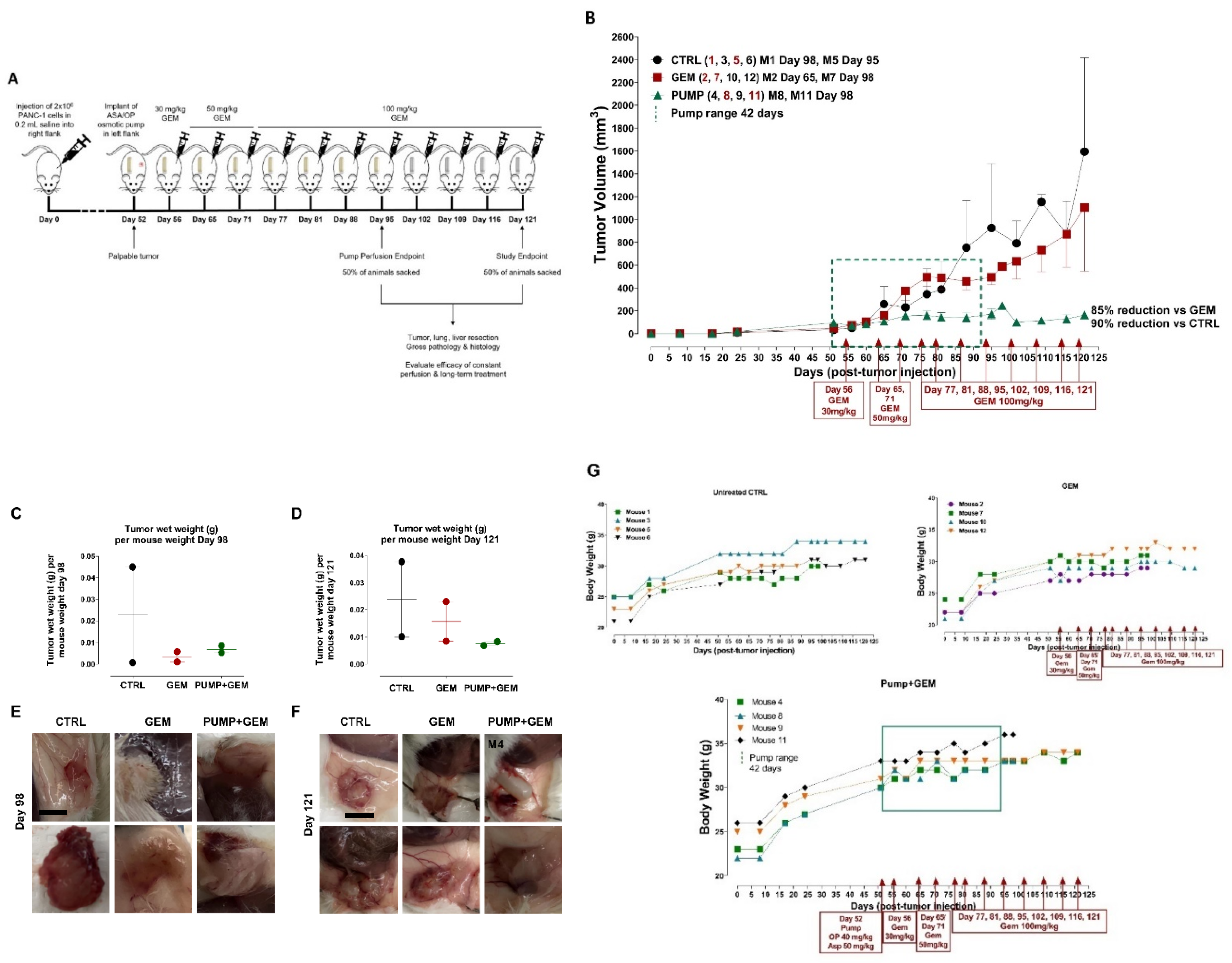Cancers 14 03595 g001a