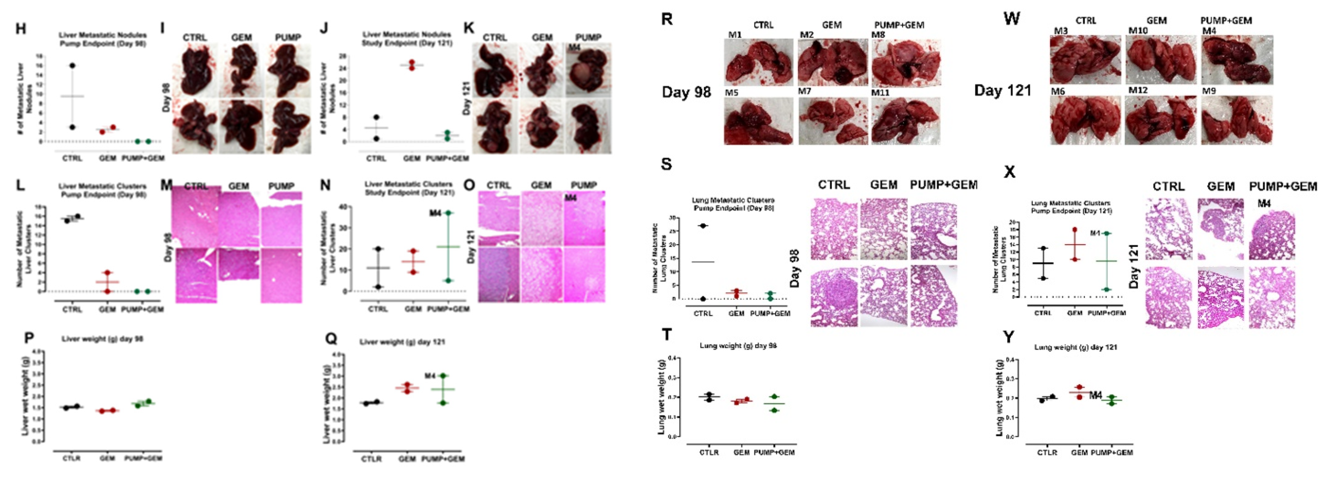 Cancers 14 03595 g001b