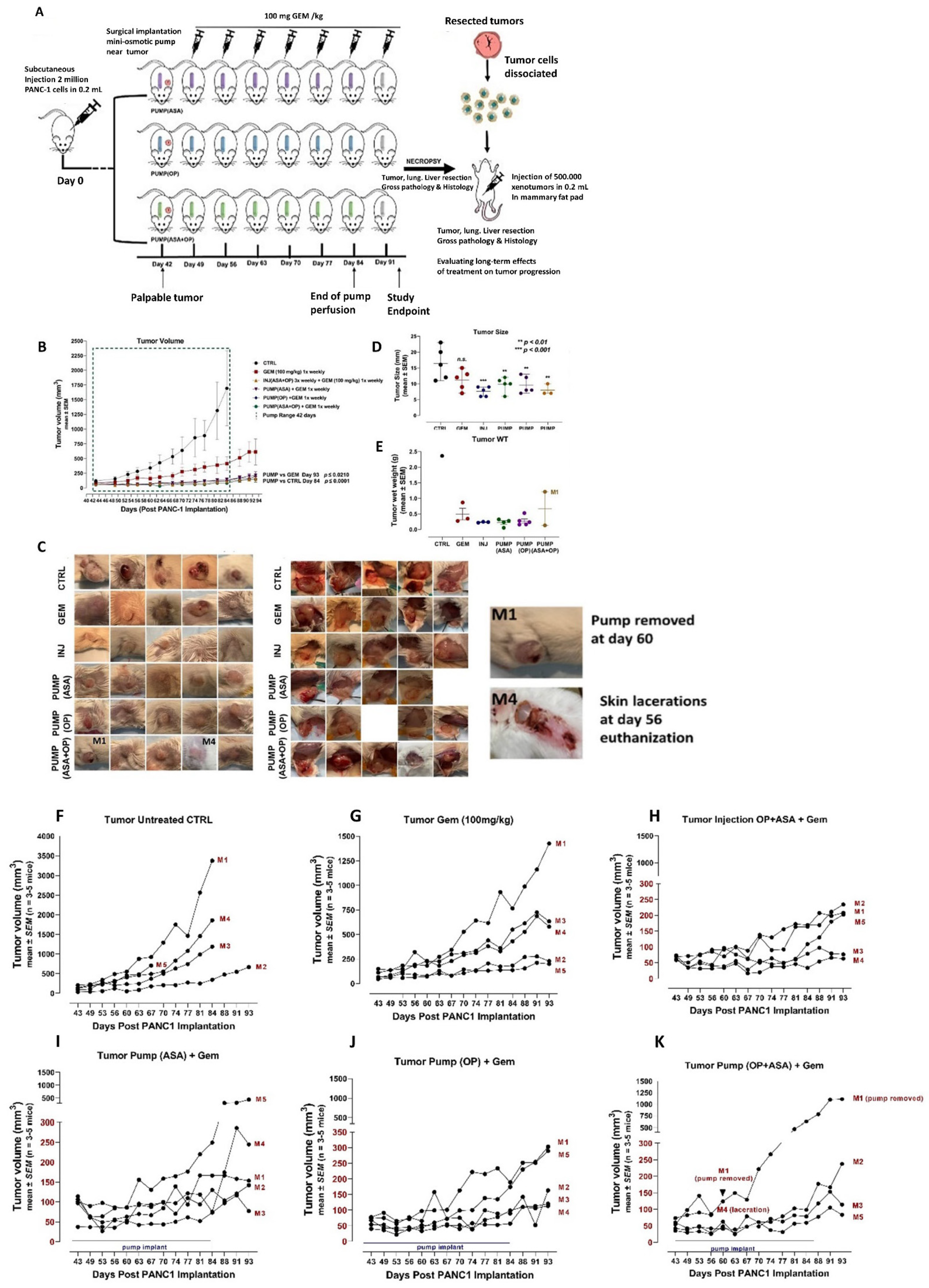 Cancers 14 03595 g002