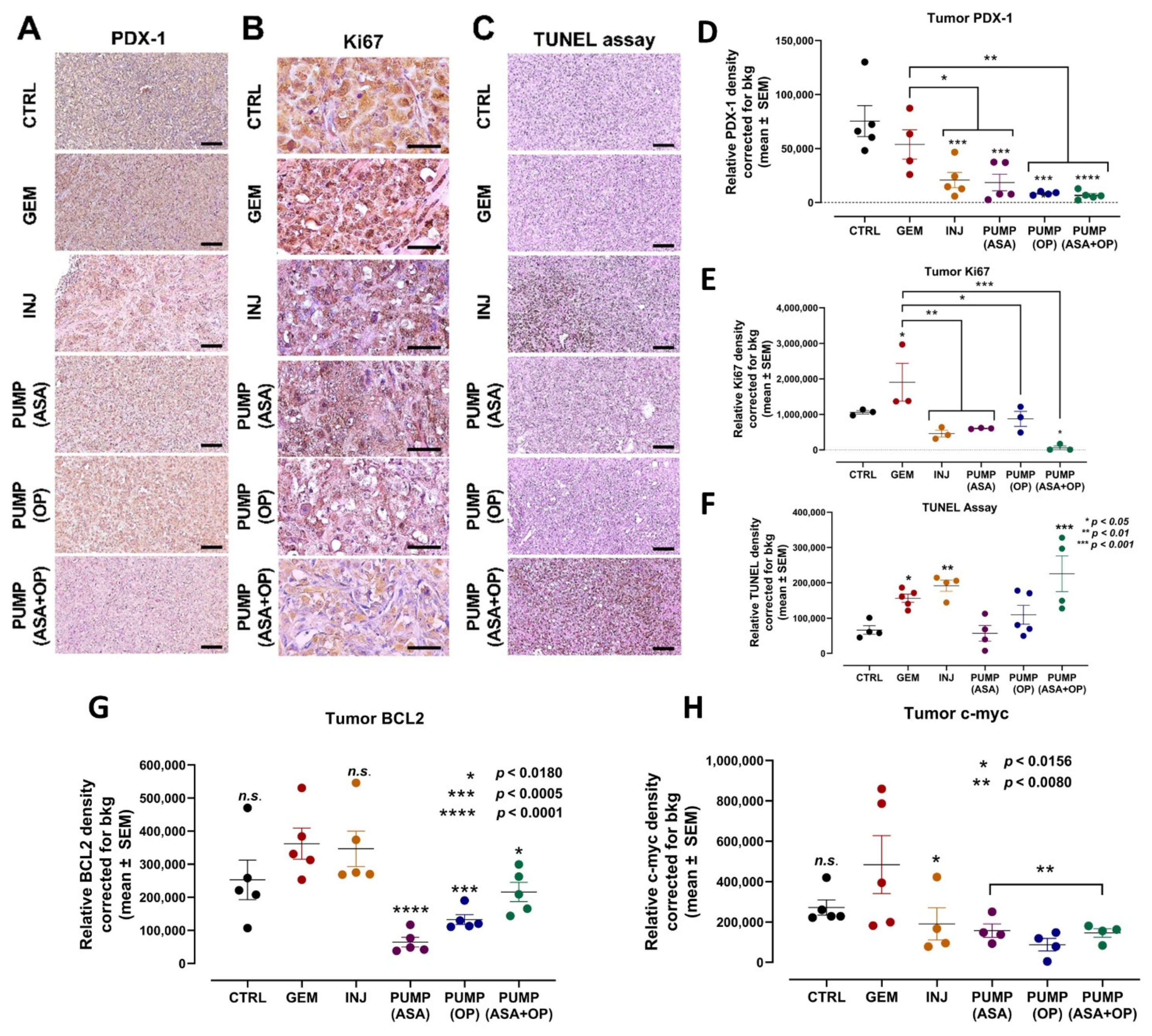 Cancers 14 03595 g004