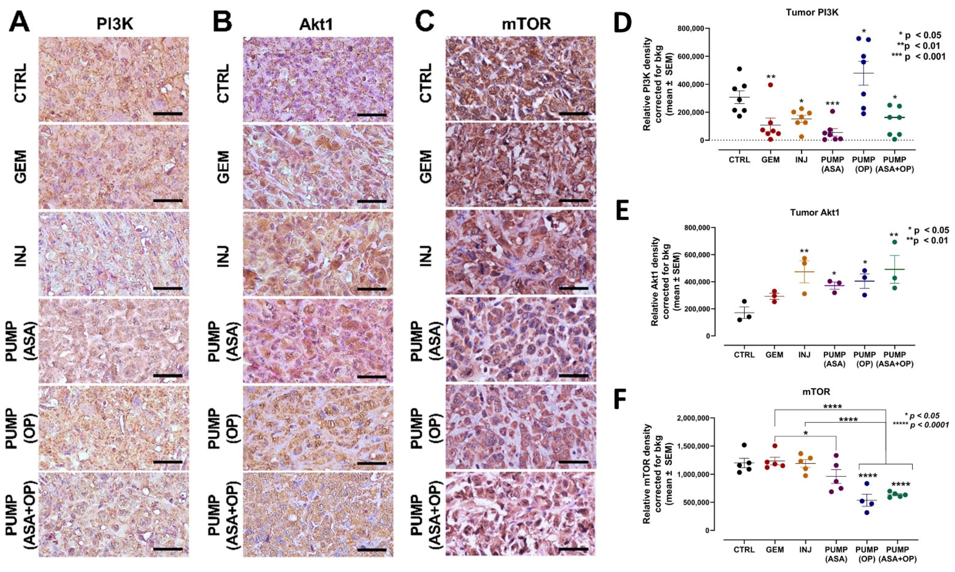 Cancers 14 03595 g005