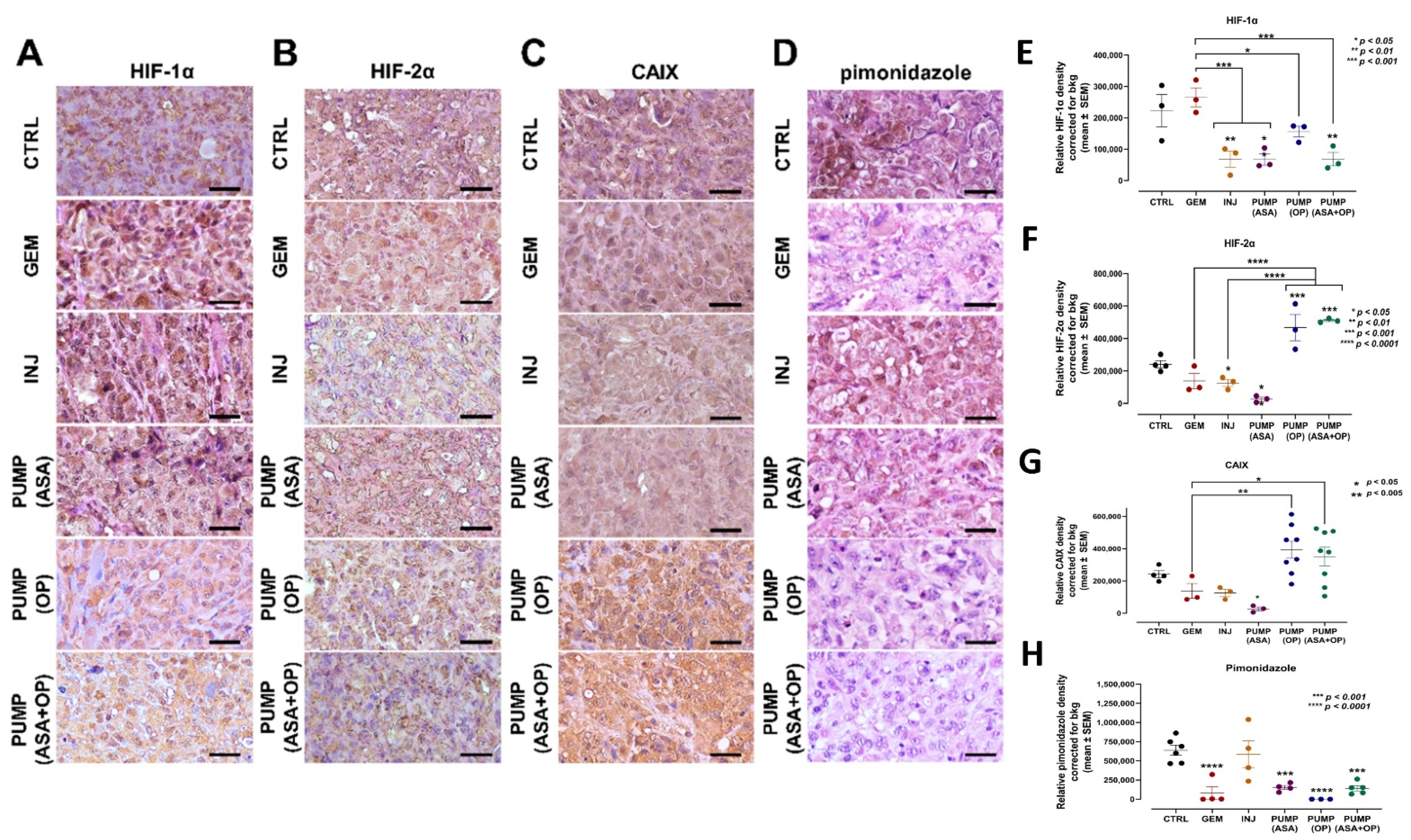 Cancers 14 03595 g006