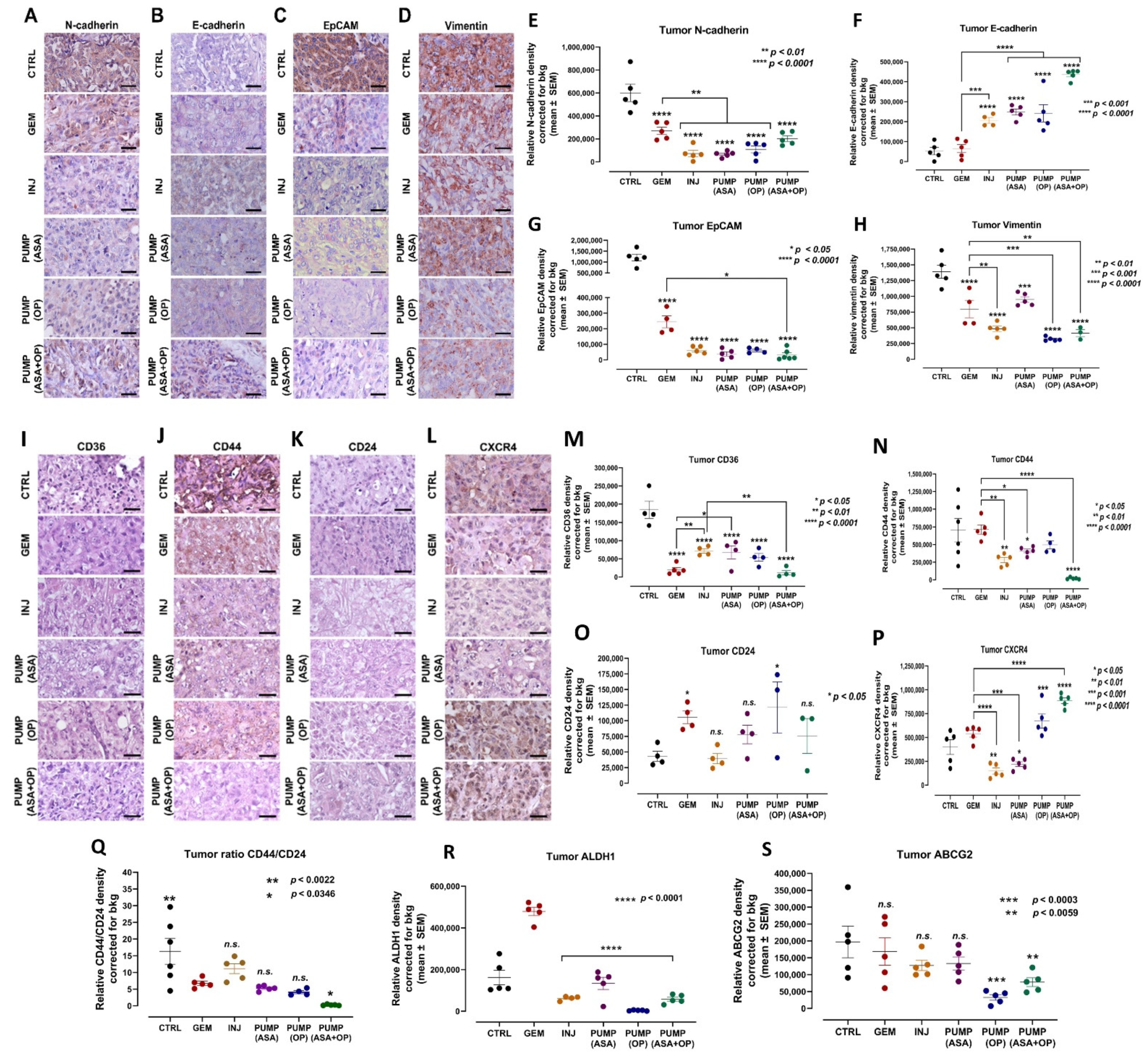 Cancers 14 03595 g007