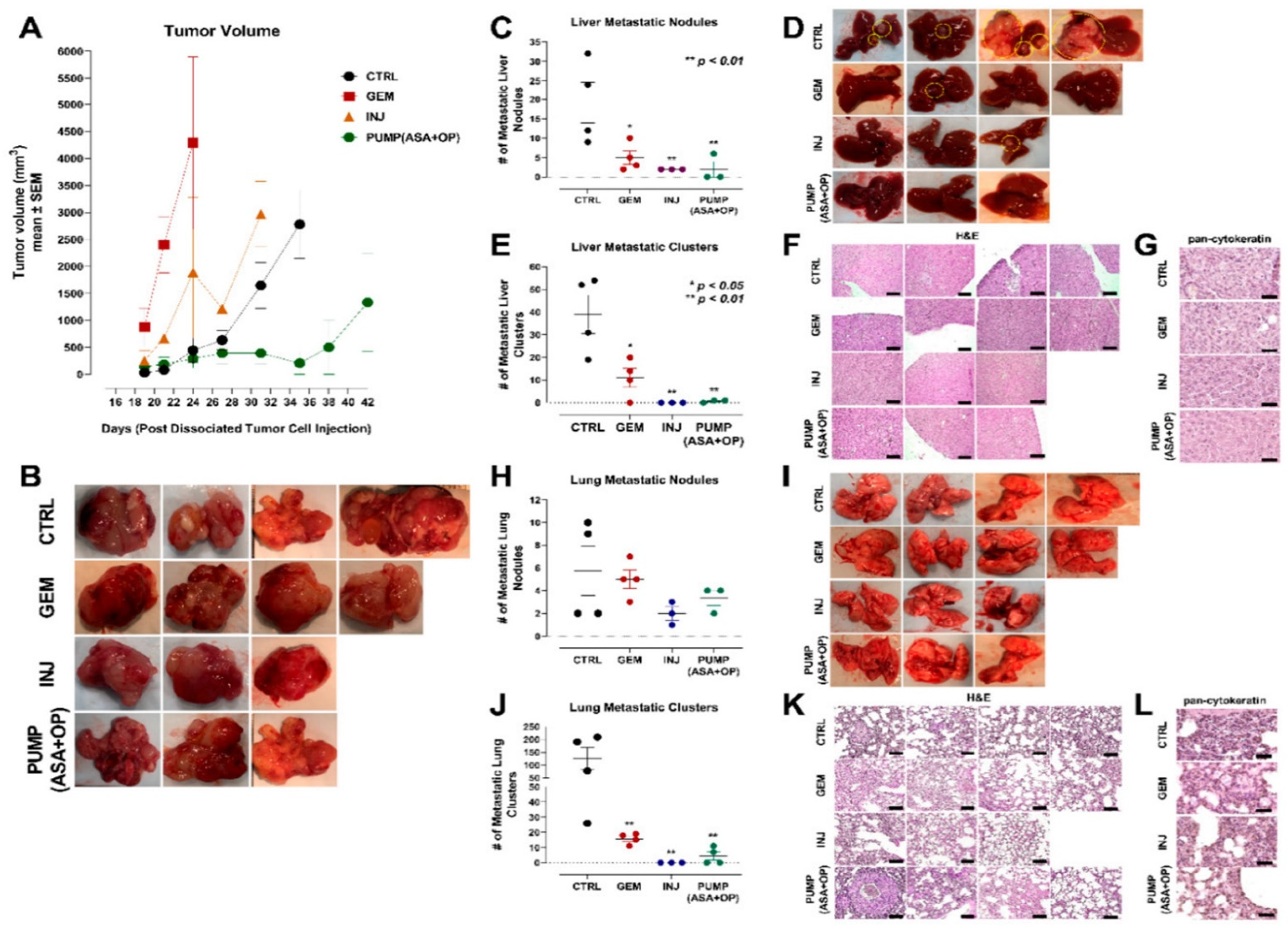 Cancers 14 03595 g008a